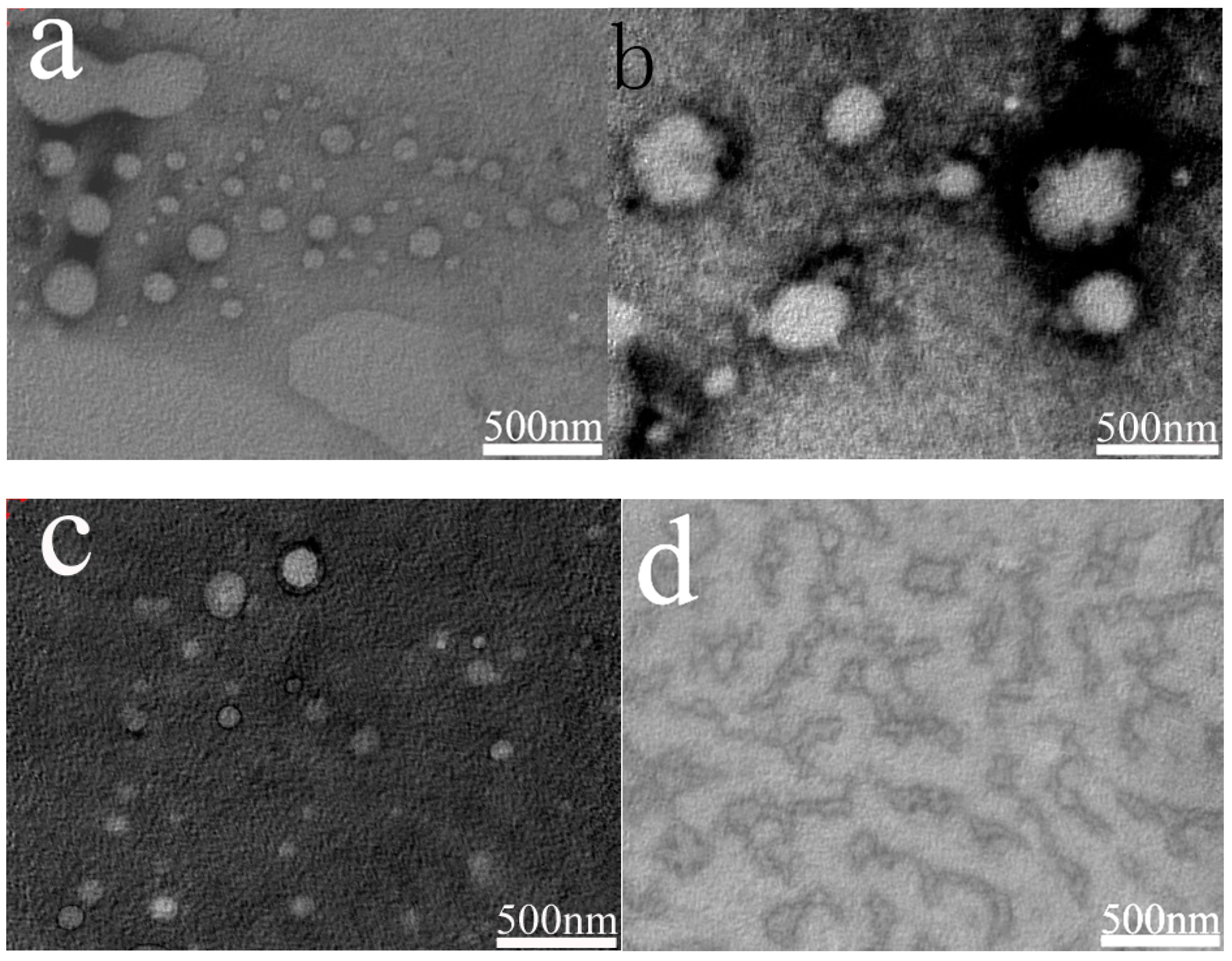 Polymers 11 00932 g004a Polymers 11 00932 g004a