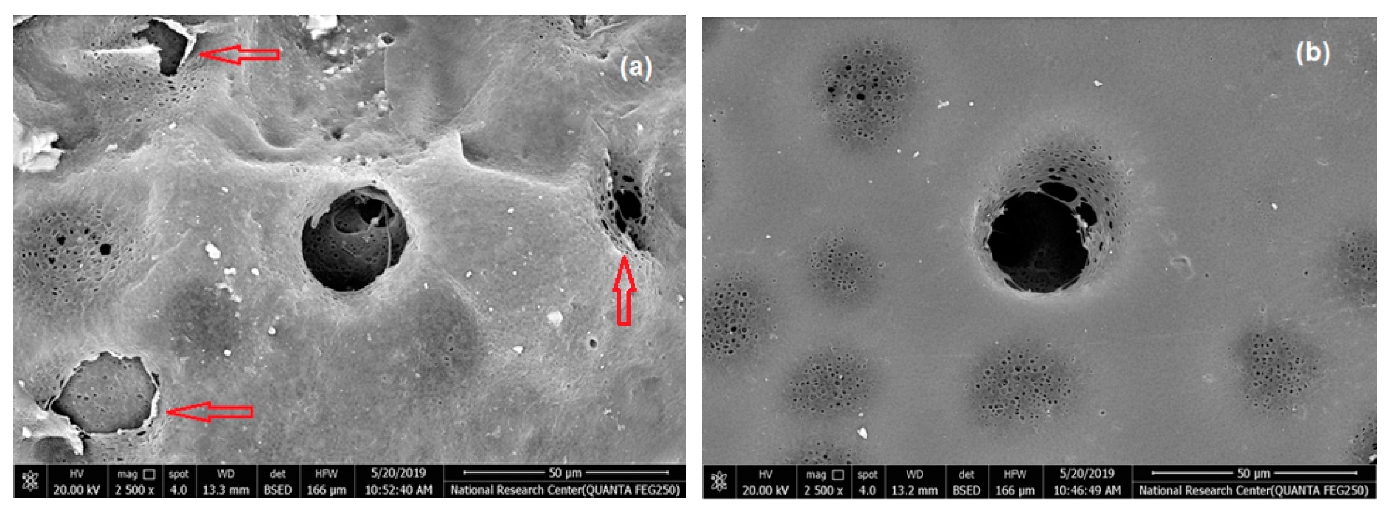 Polymers 11 00938 g005 Polymers 11 00938 g005