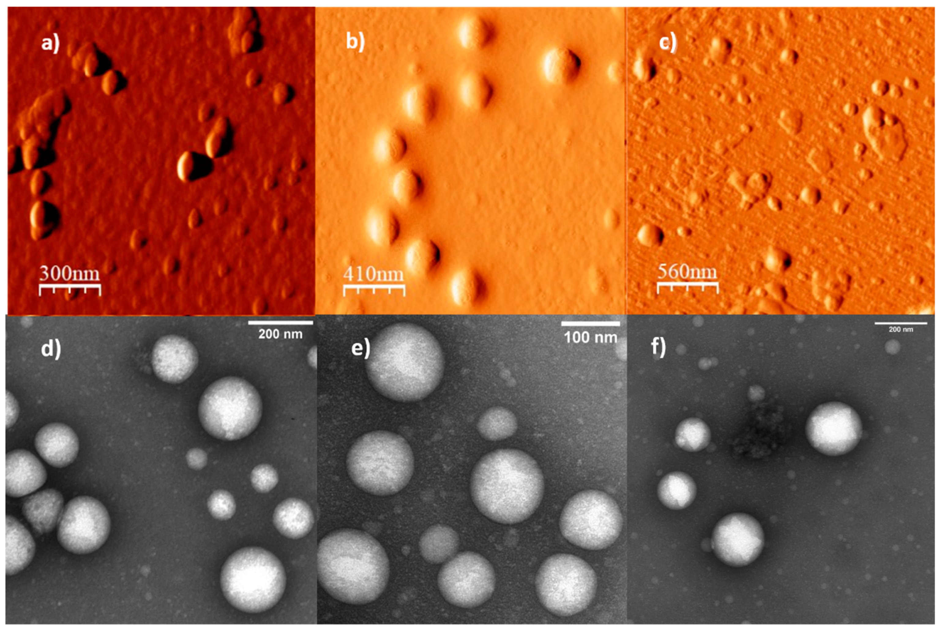 Polymers 11 00939 g004 Polymers 11 00939 g004
