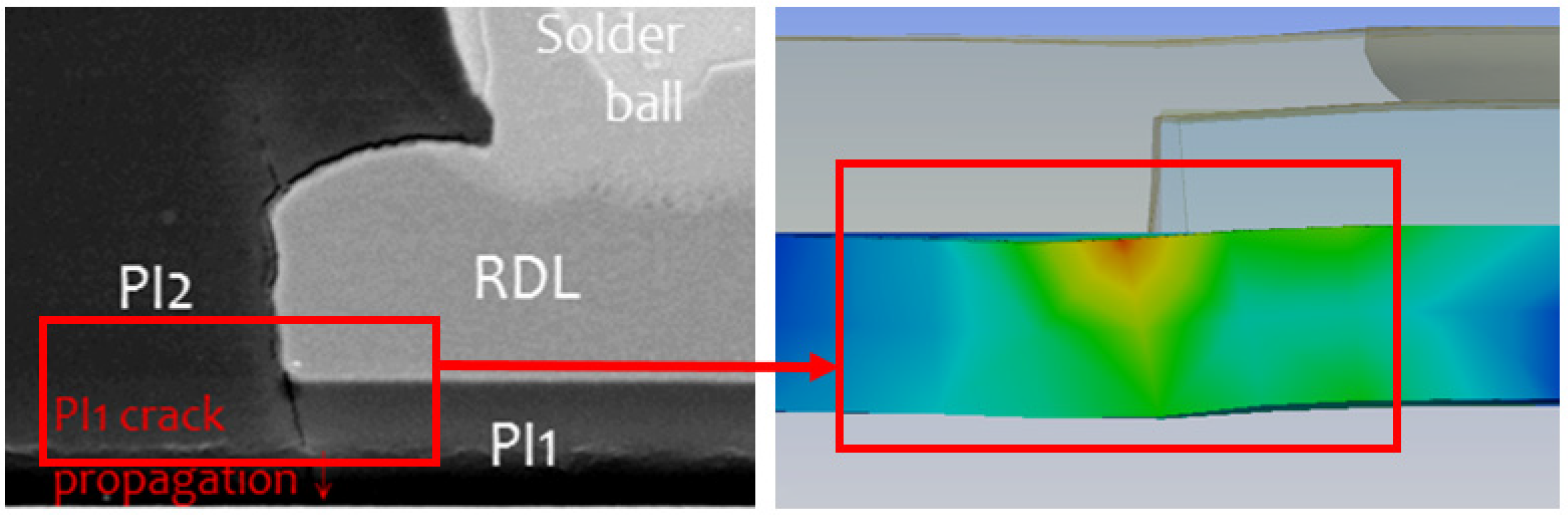Polymers 11 00940 g008