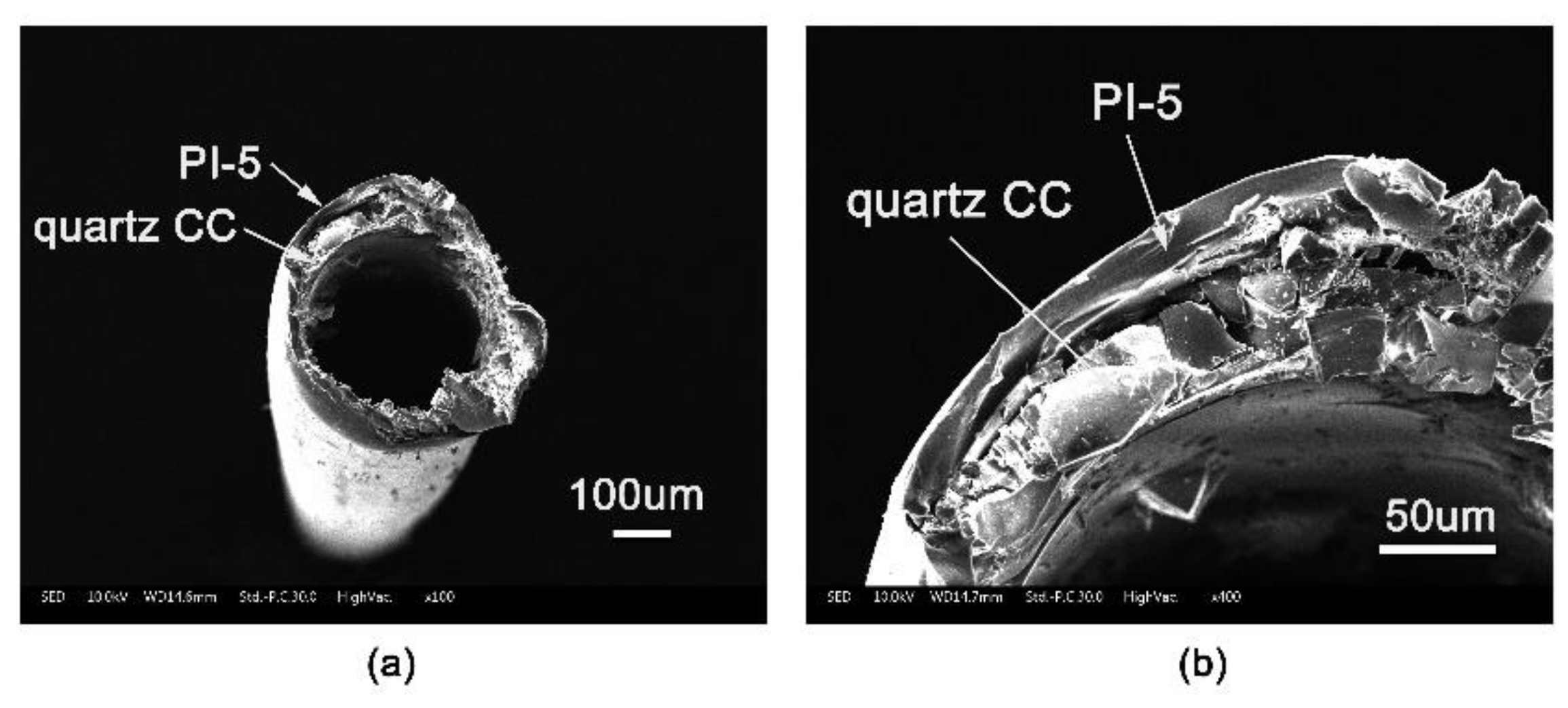 Polymers 11 00946 g005 Polymers 11 00946 g005