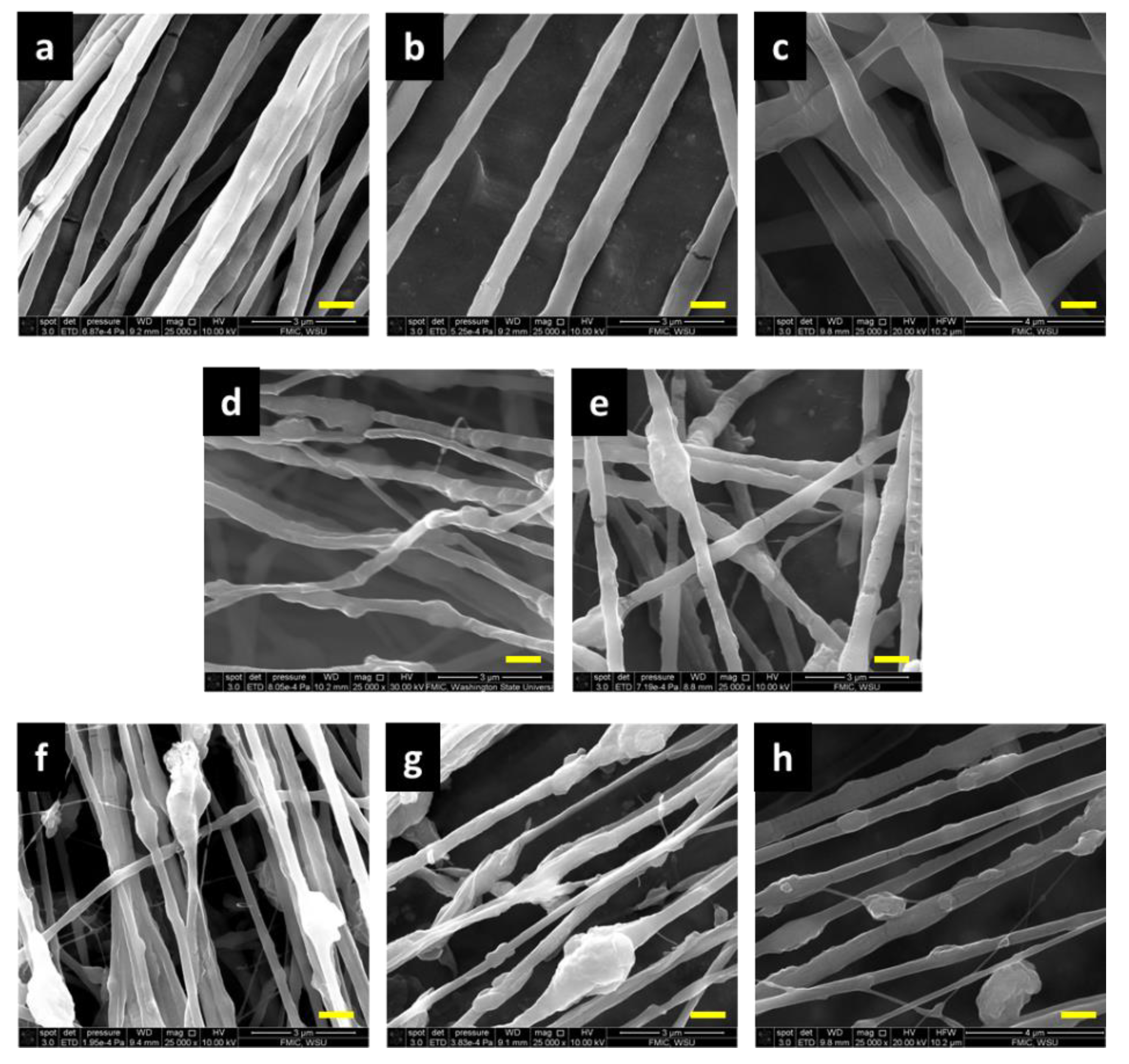Polymers 11 00954 g002