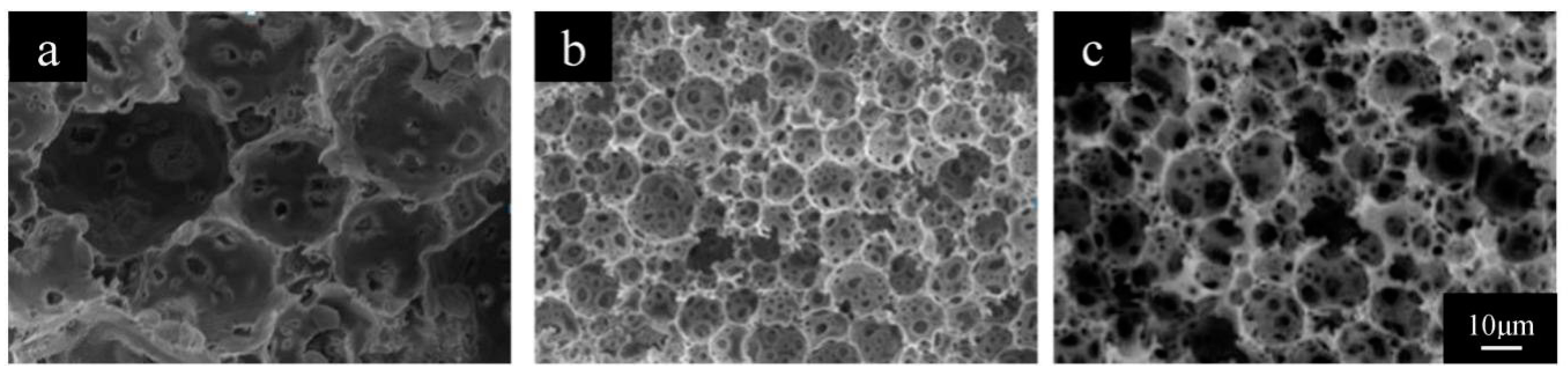 Polymers 11 00959 g005 Polymers 11 00959 g005