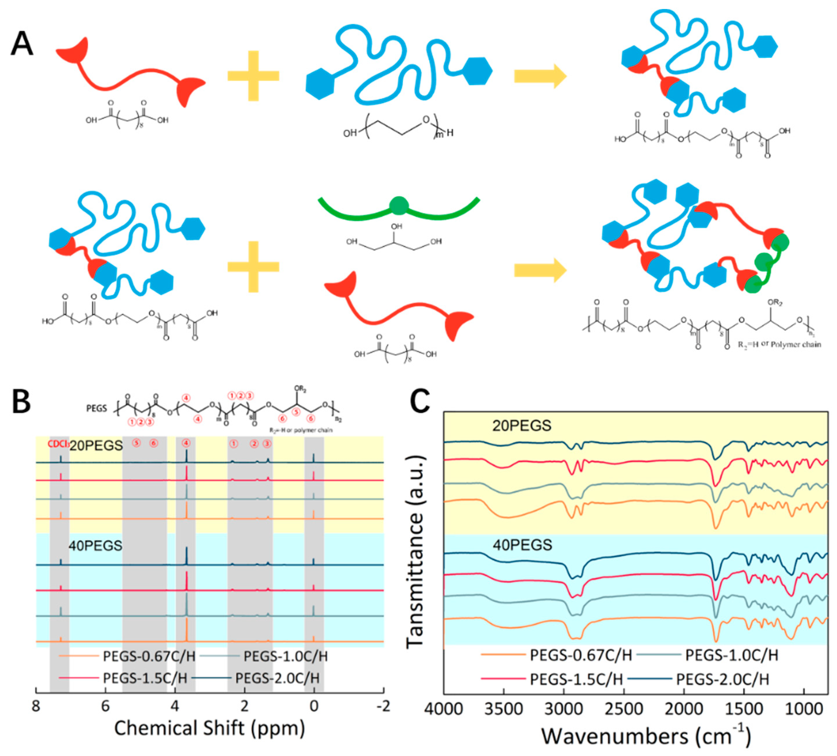 Polymers 11 00965 g001