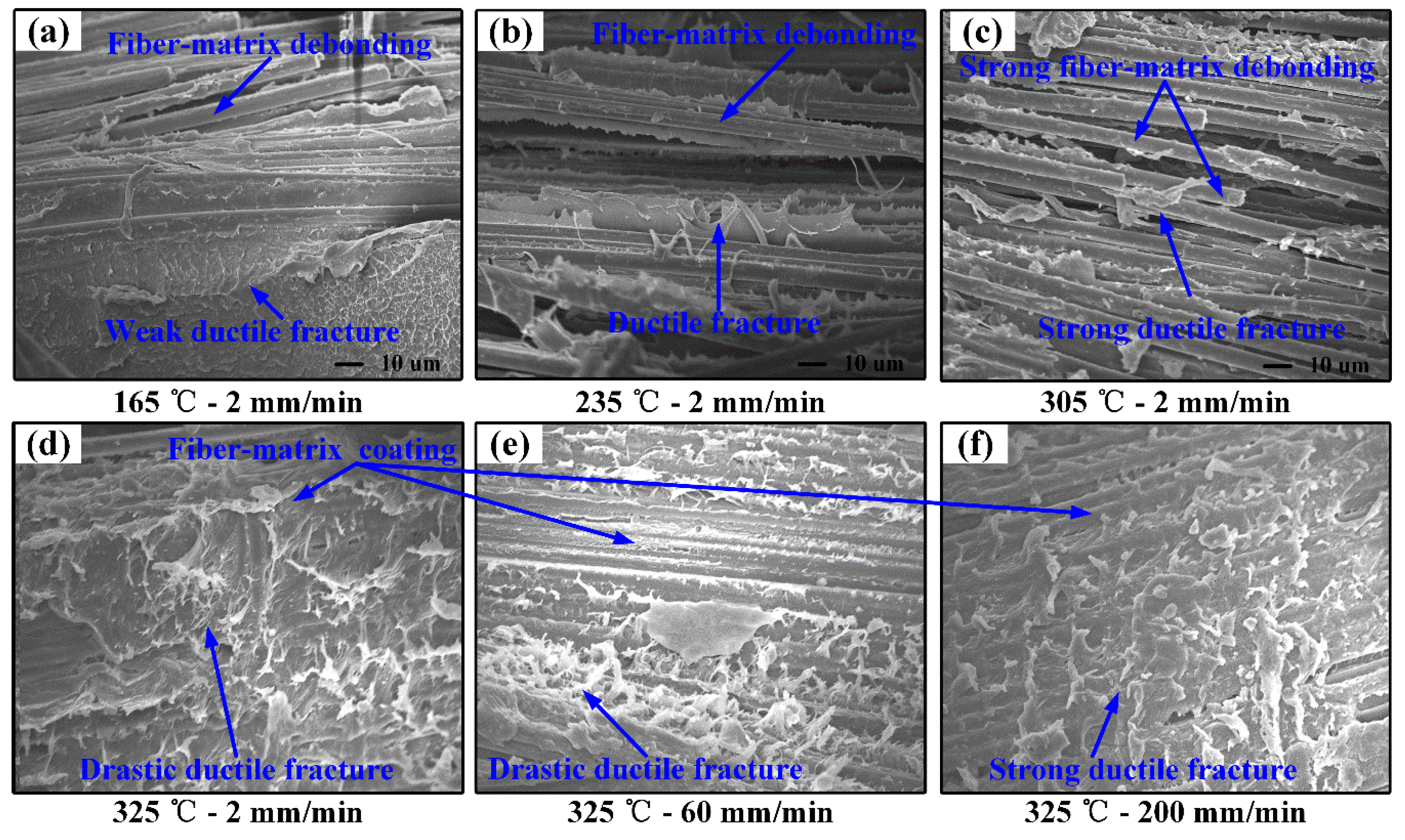 Polymers 11 00966 g009 Polymers 11 00966 g009