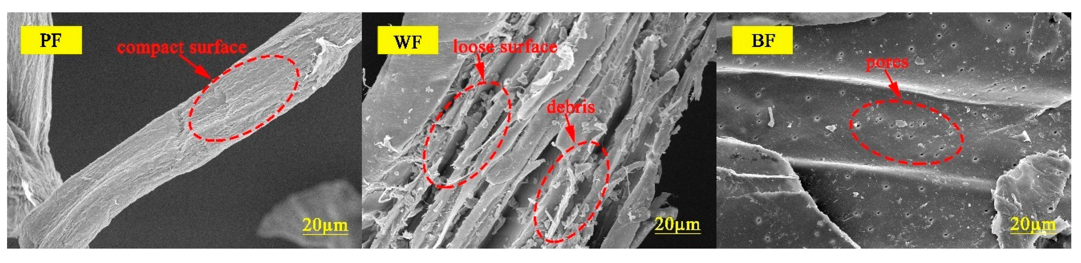 Polymers 11 00967 g004 Polymers 11 00967 g004