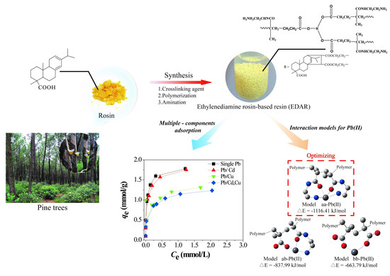 Polymers Free Full Text Mechanisms Of Adsorption Of Heavy Metal Cations From Waters By An Amino Bio Based Resin Derived From Rosin Html Polymers Free Full Text Mechanisms Of Adsorption Of Heavy Metal Cations From Waters By An Amino Bio Based Resin Derived From Rosin Html
