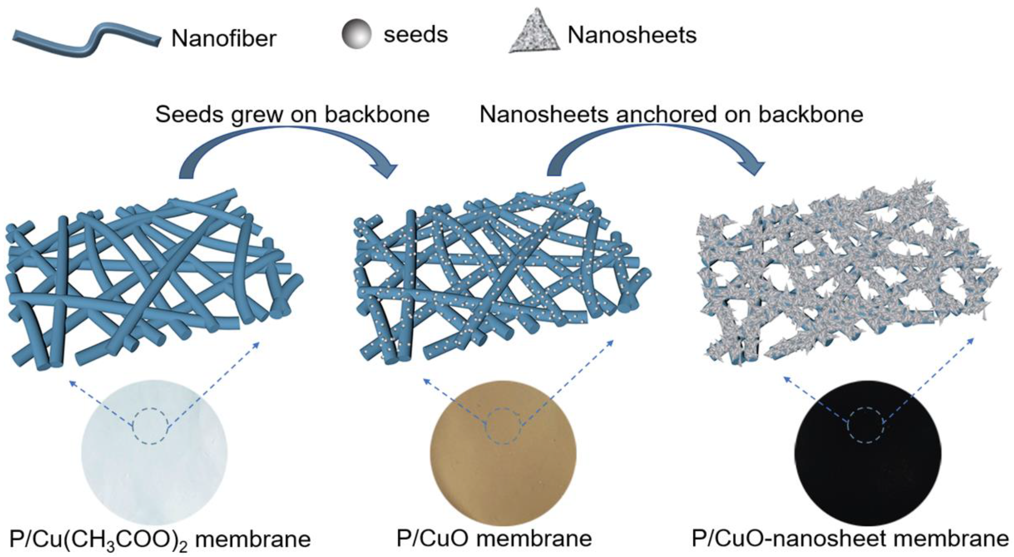 Polymers 11 00974 g008 Polymers 11 00974 g008