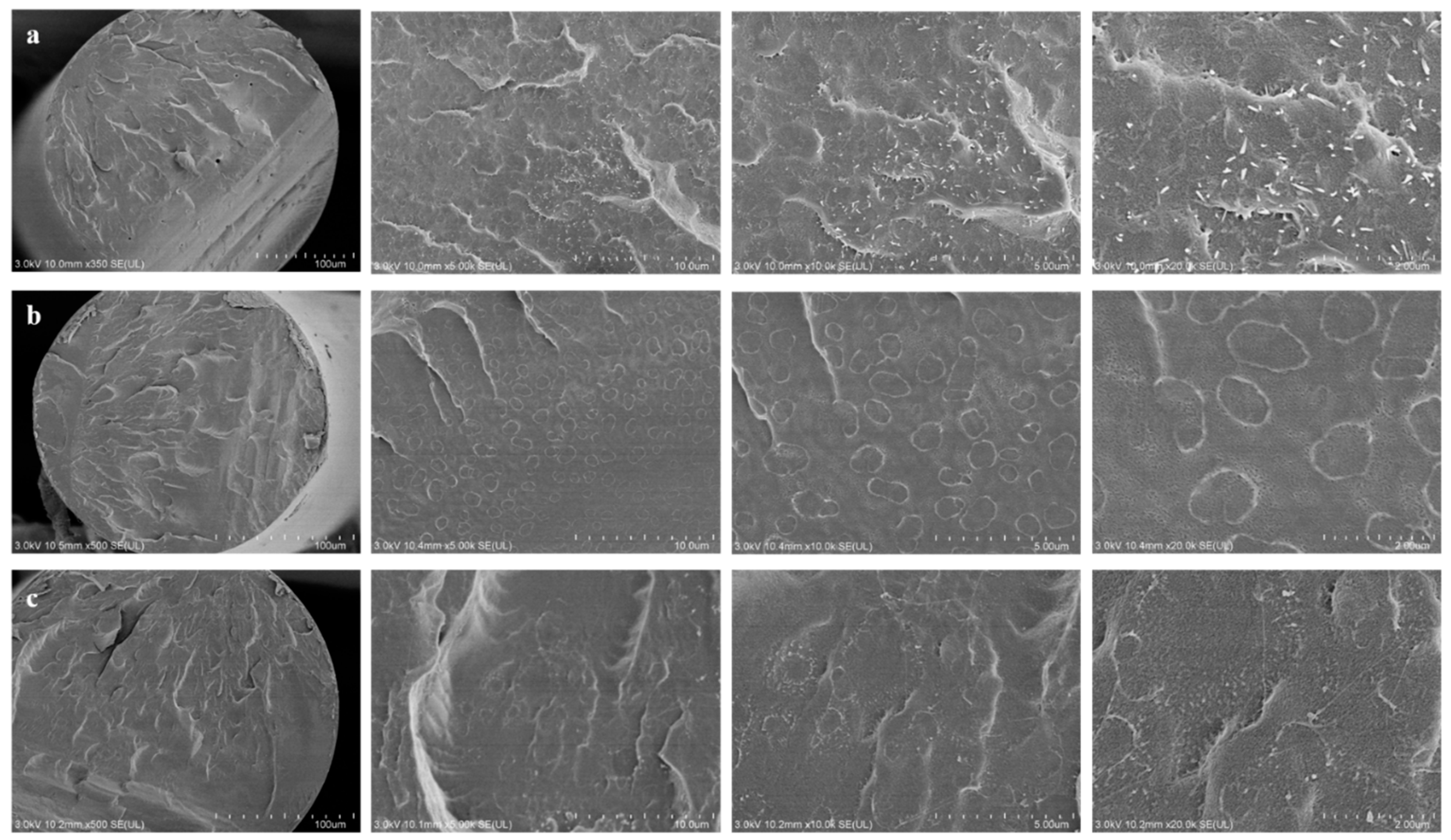 Polymers 11 00978 g009