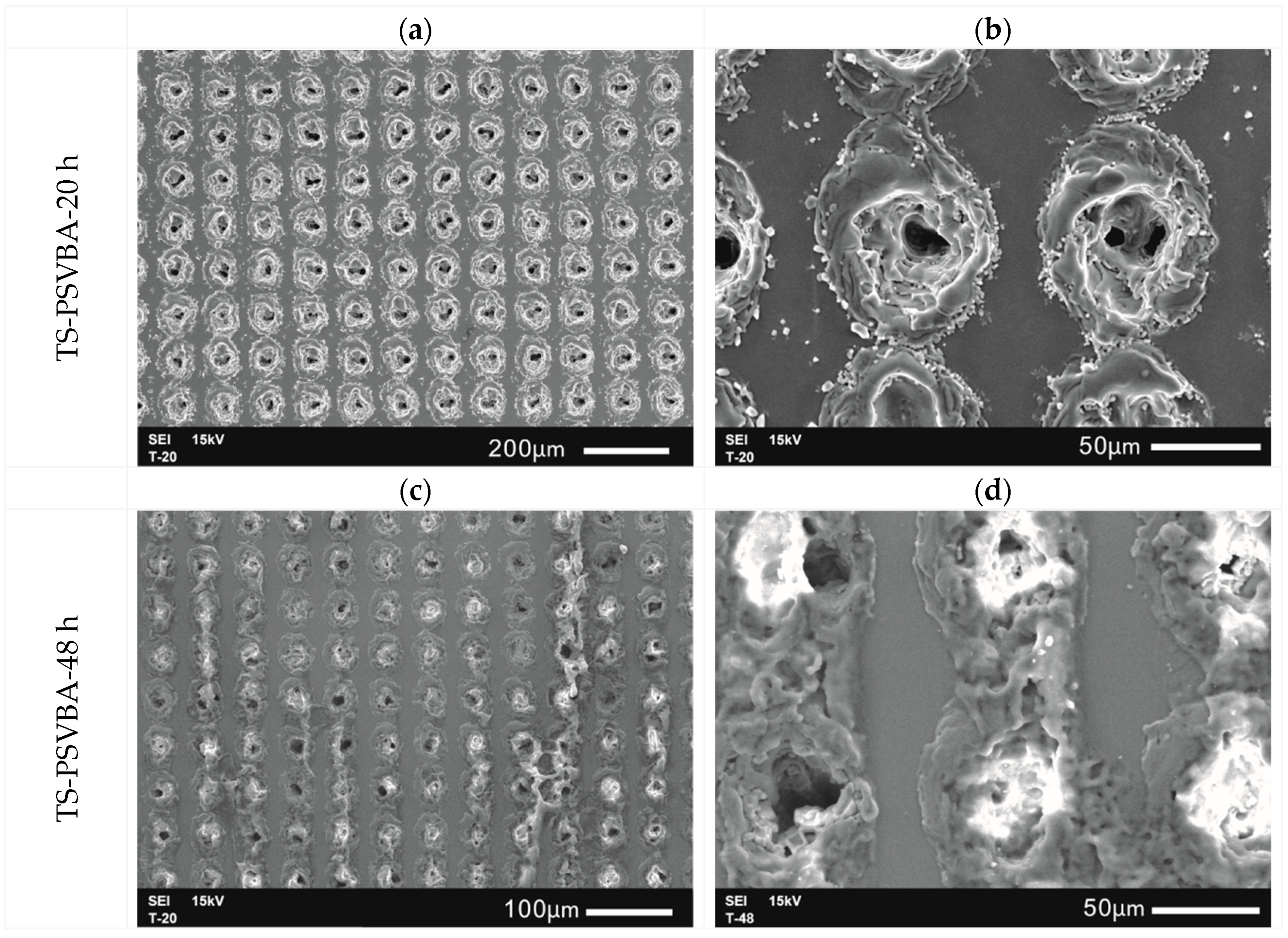 Polymers 11 00981 g005