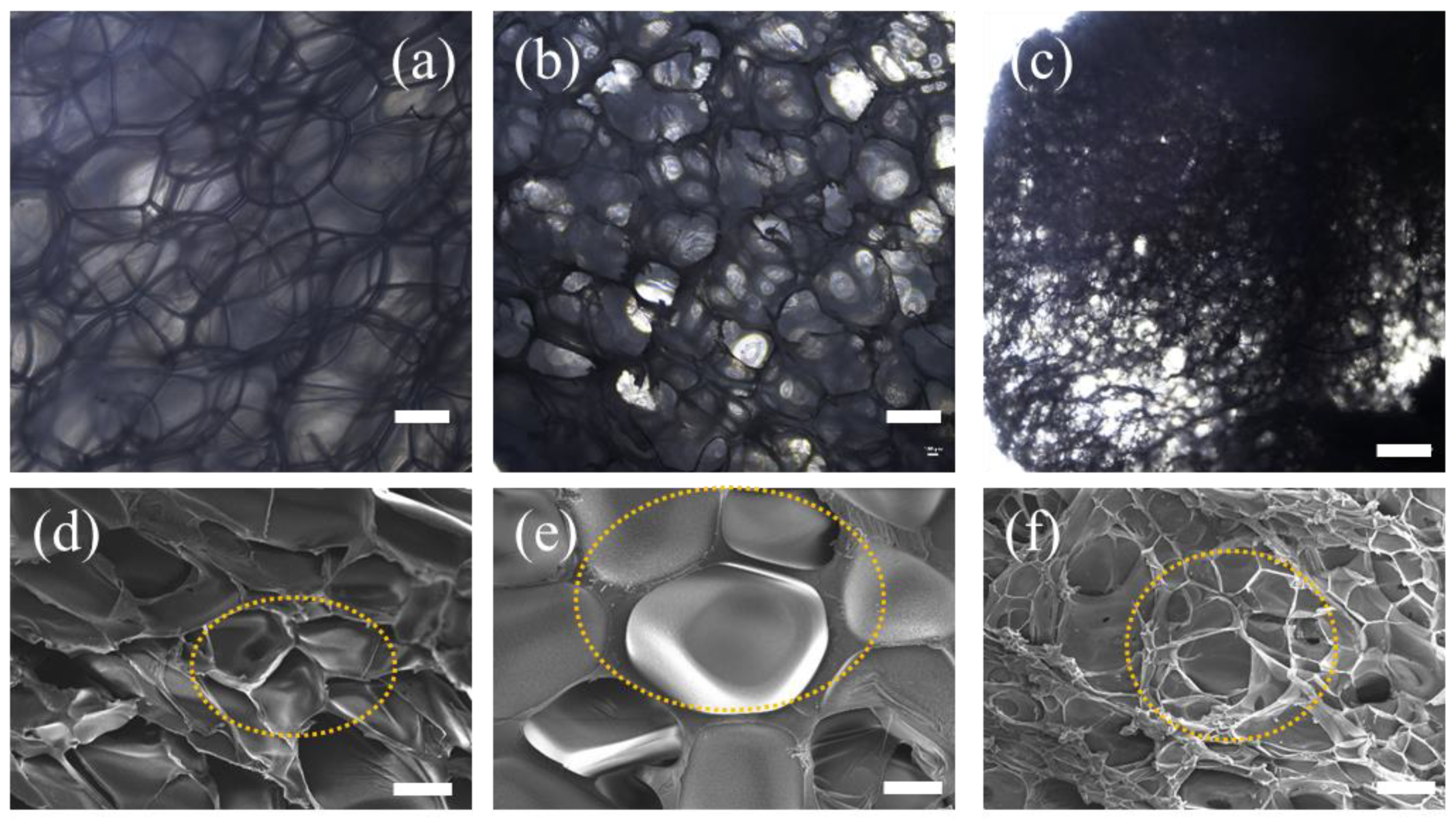 Polymers 11 00985 g004a