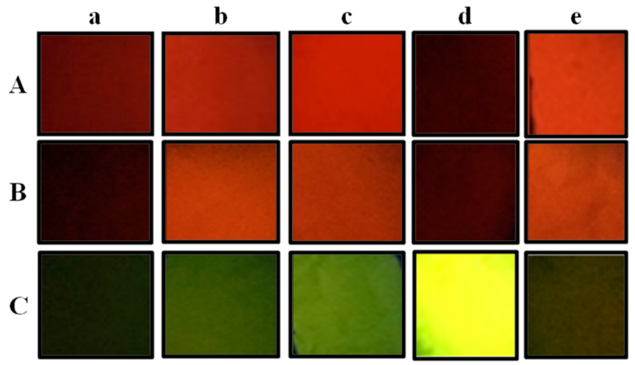 Polymers 11 00986 g008