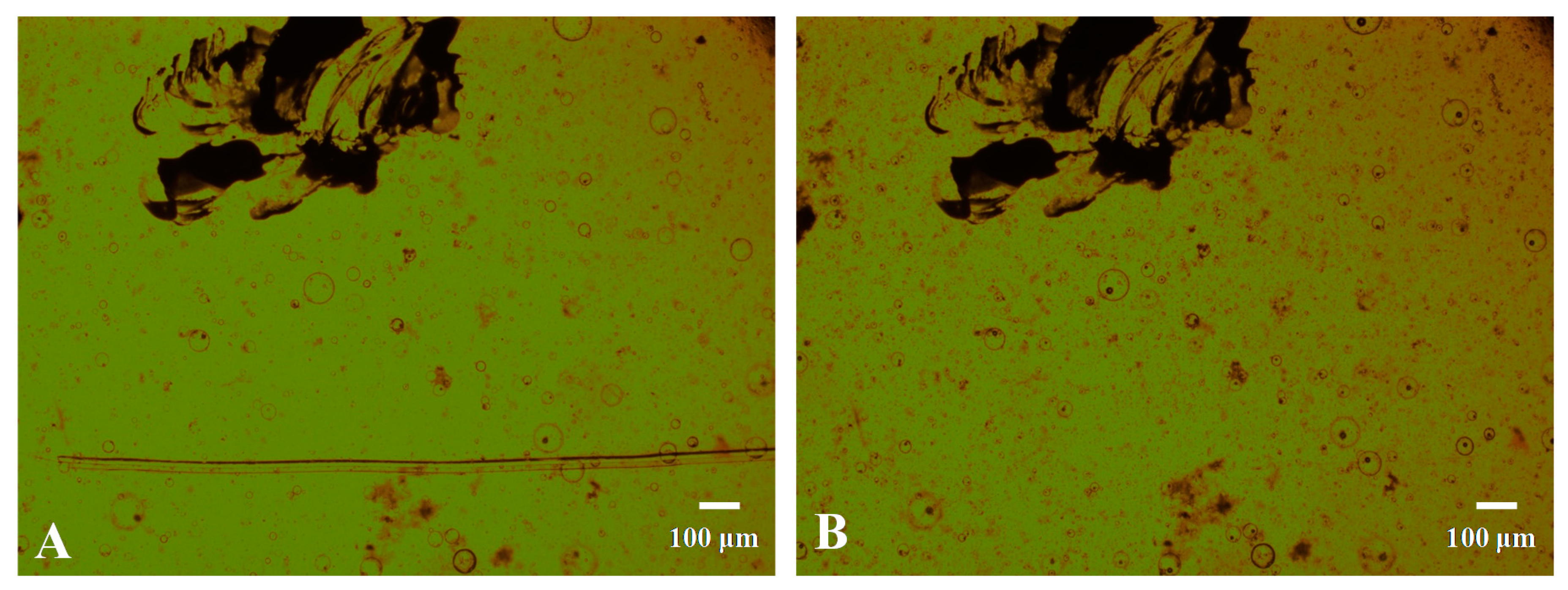 Polymers 11 01007 g009 Polymers 11 01007 g009