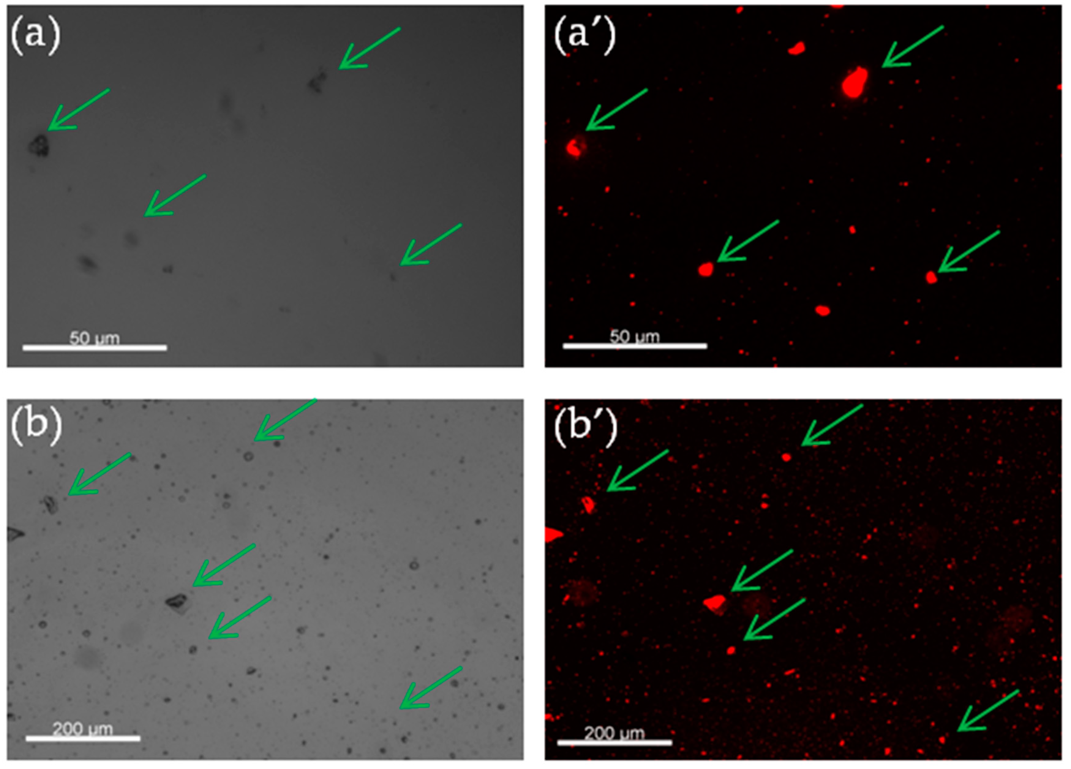 Polymers 11 01017 g006 550