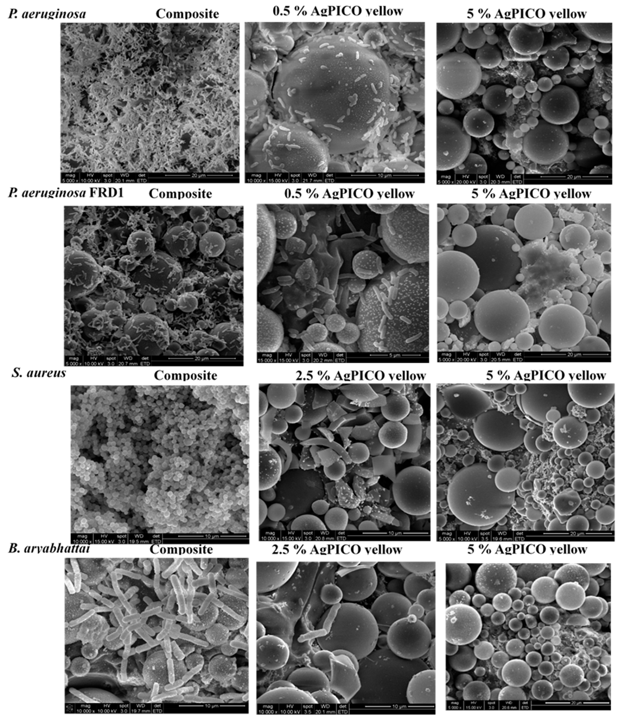 Polymers 11 01018 g006 Polymers 11 01018 g006