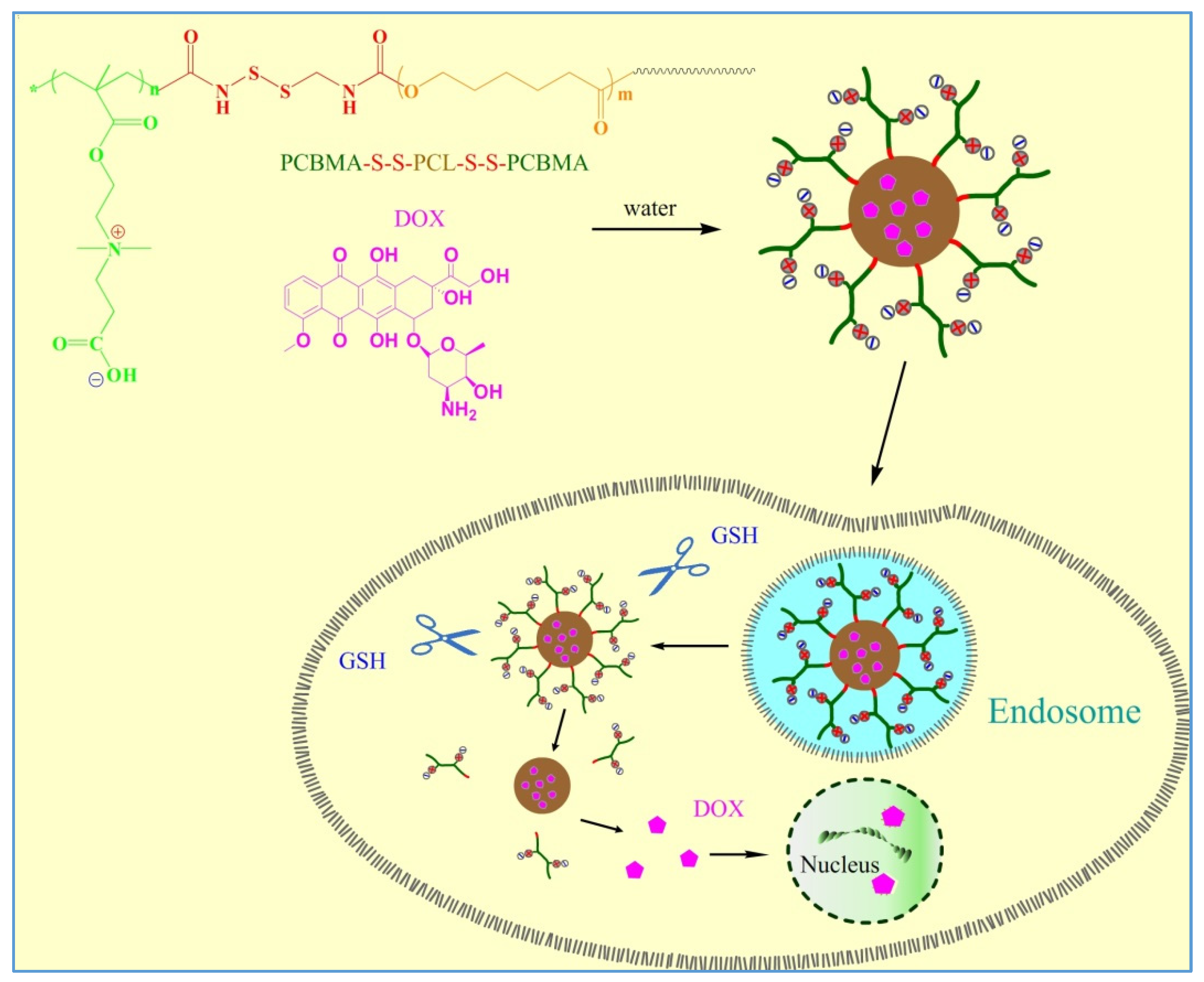 Polymers 11 01019 sch001 Polymers 11 01019 sch001