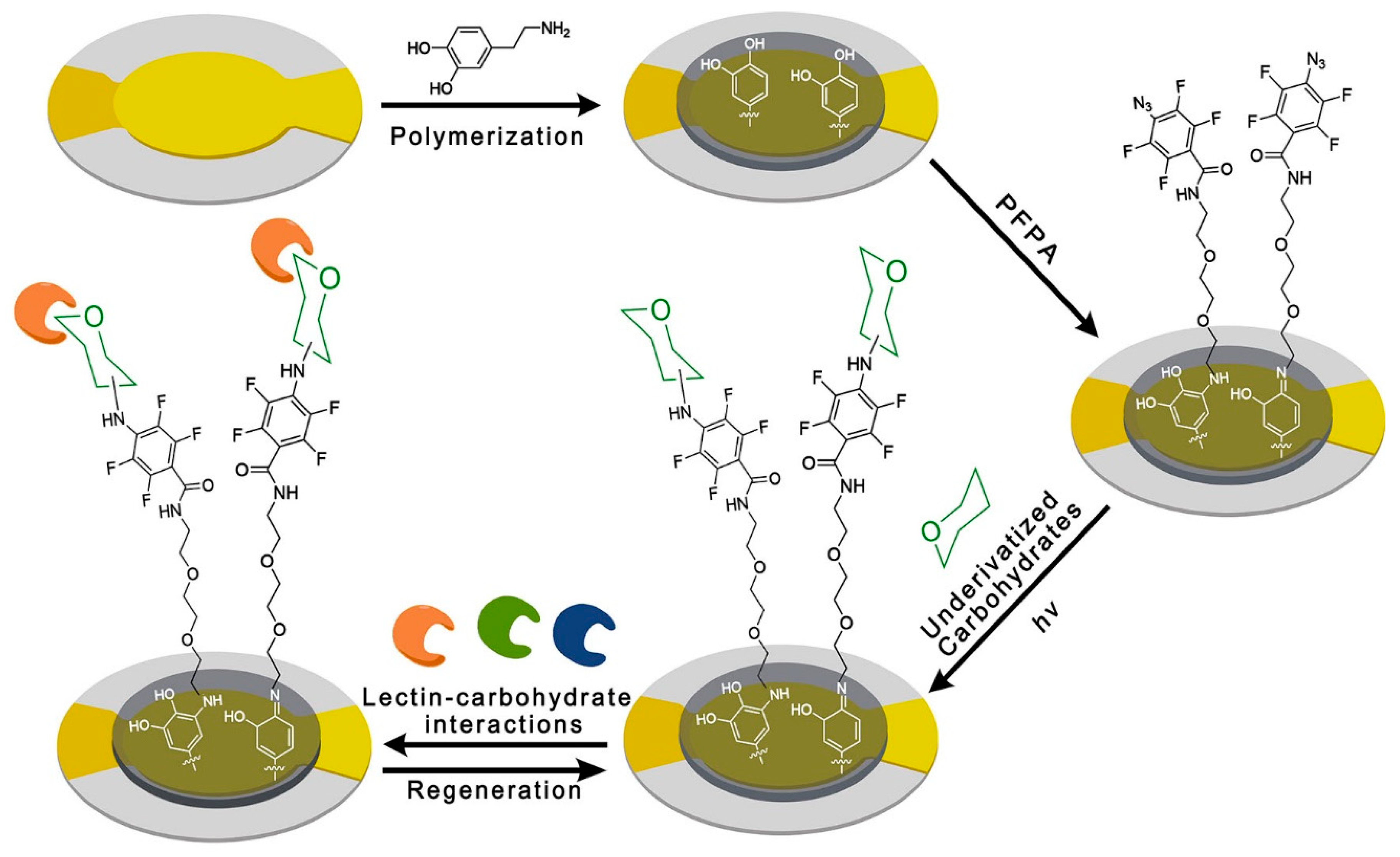 Polymers 11 01023 g002 Polymers 11 01023 g002