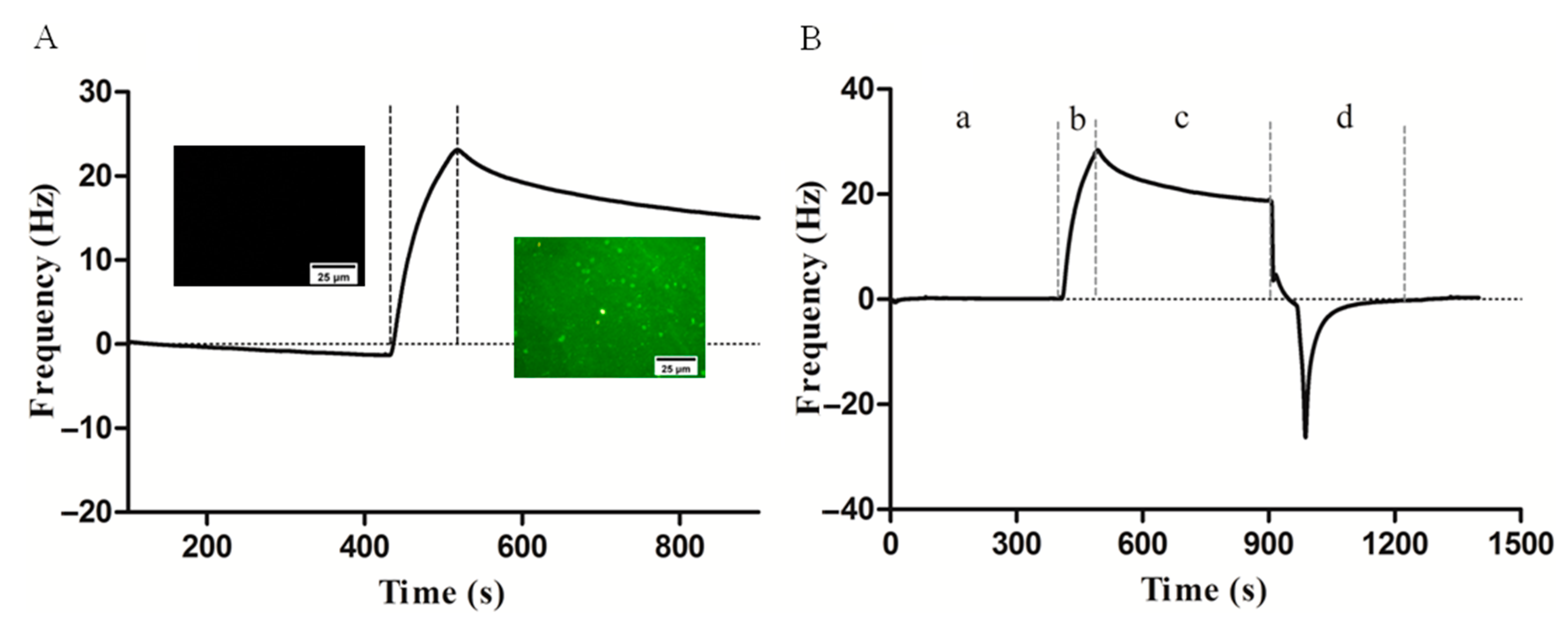 Polymers 11 01023 g004 Polymers 11 01023 g004