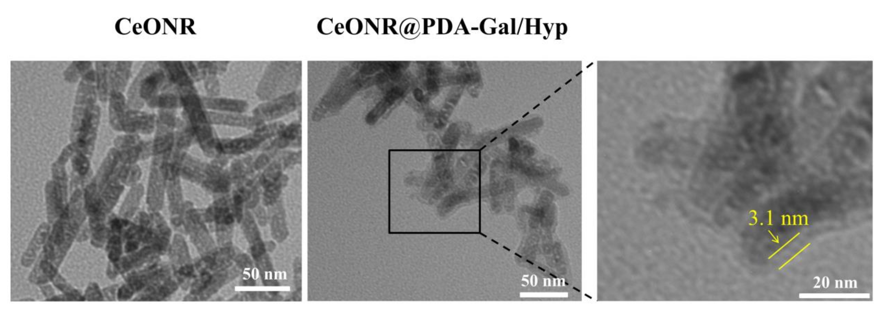 Polymers 11 01025 g001 Polymers 11 01025 g001