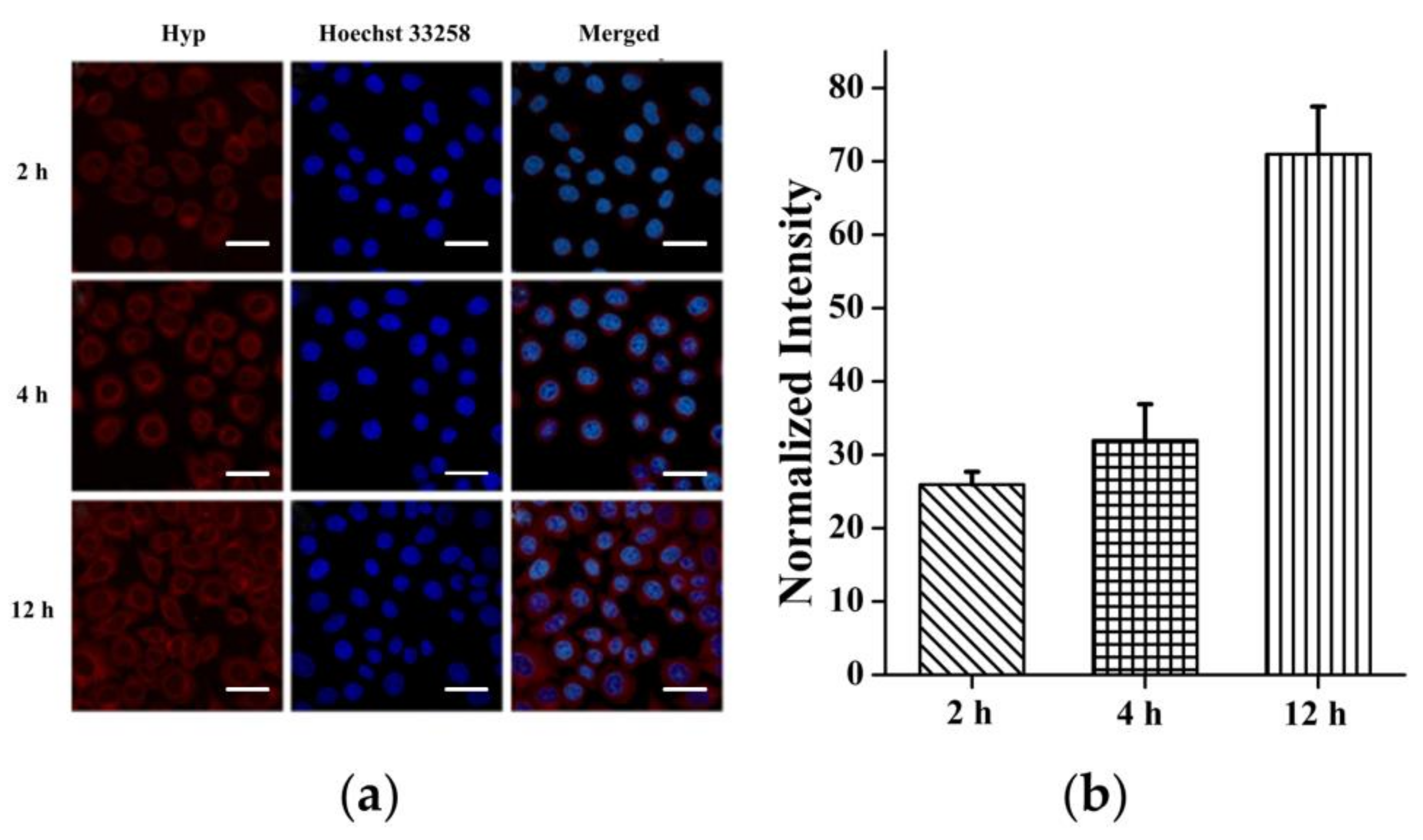 Polymers 11 01025 g003 Polymers 11 01025 g003