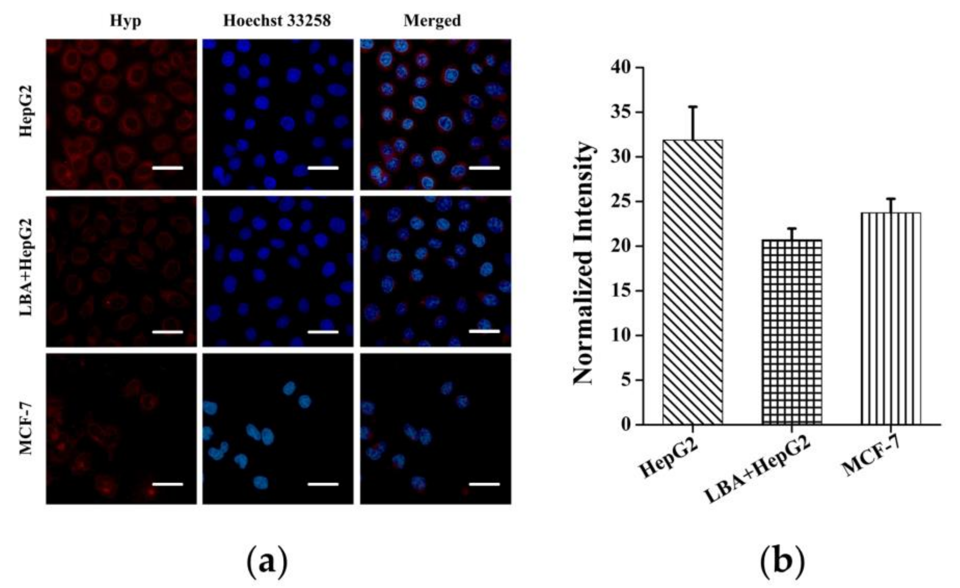Polymers 11 01025 g004 Polymers 11 01025 g004