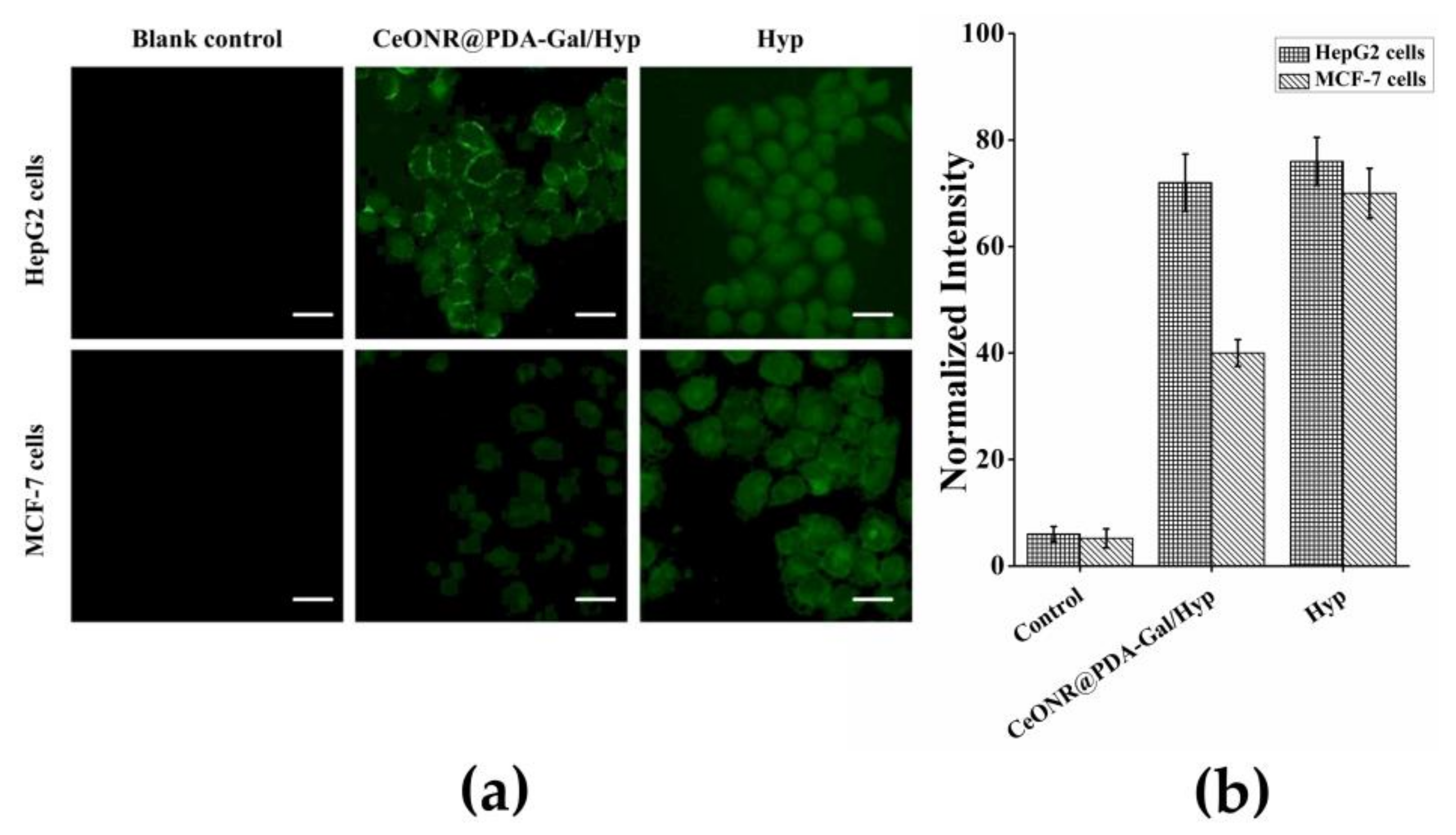 Polymers 11 01025 g005 Polymers 11 01025 g005