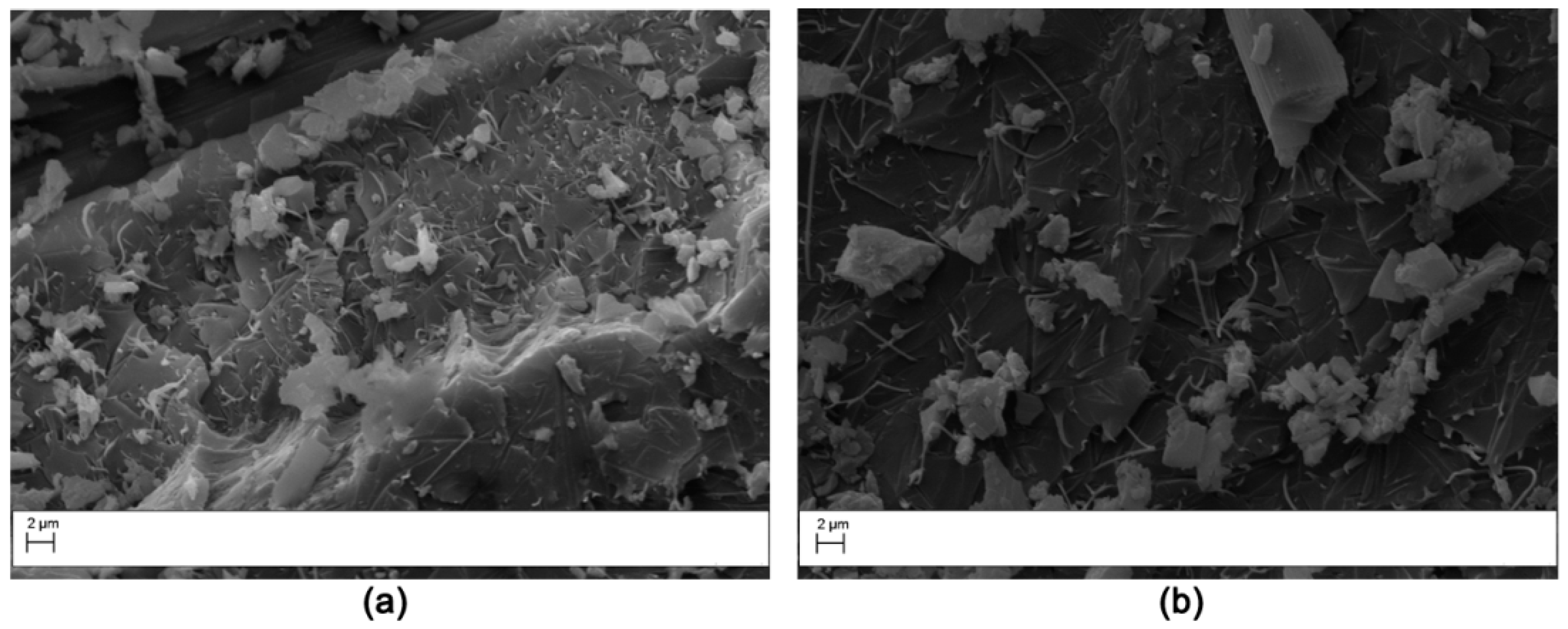 Polymers 11 01029 g012 Polymers 11 01029 g012