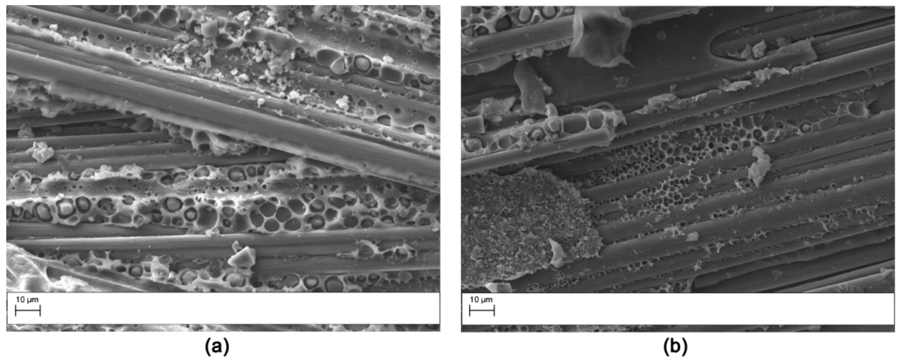 Polymers 11 01029 g014 Polymers 11 01029 g014