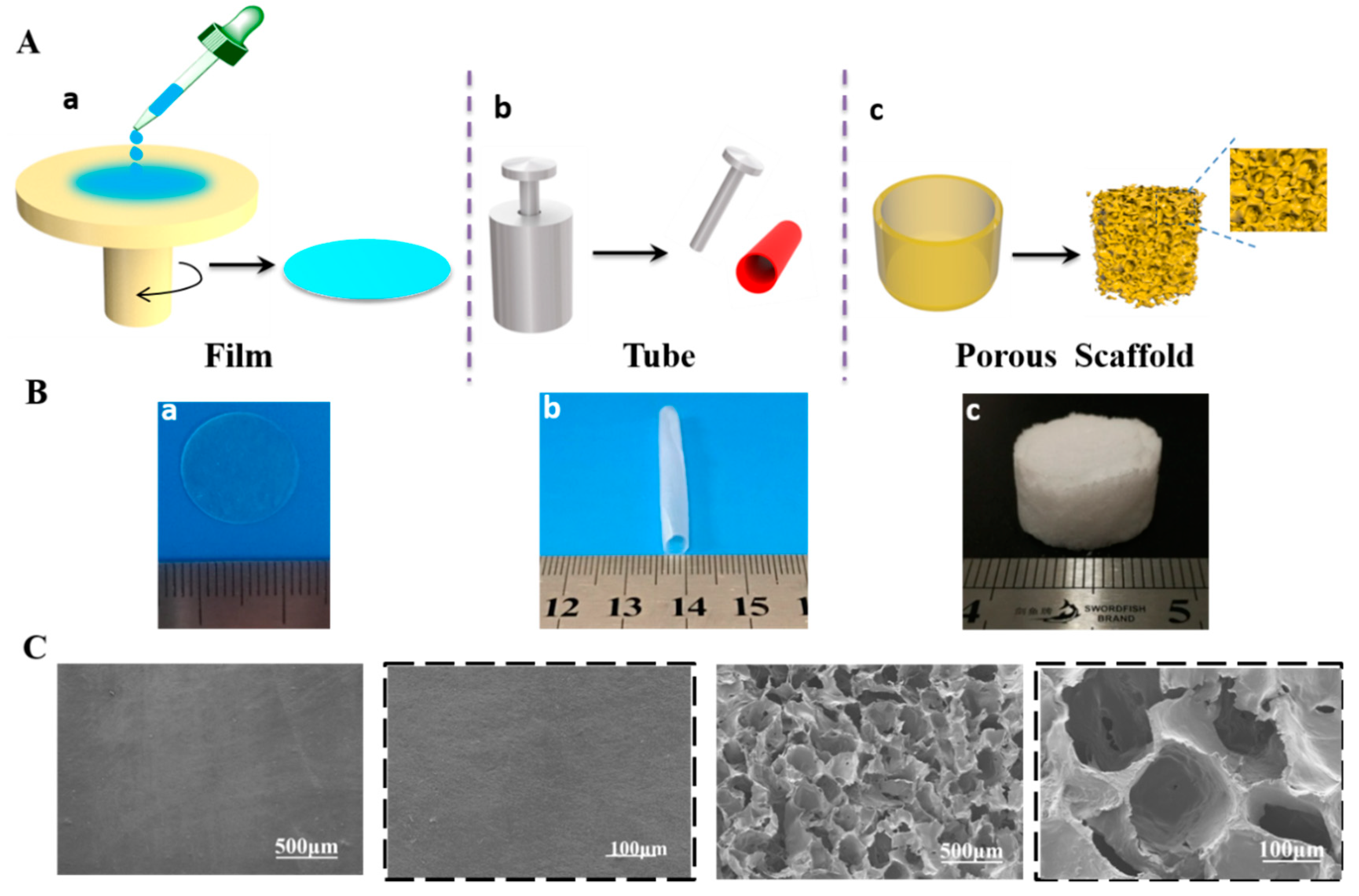 Polymers 11 01030 g003 550