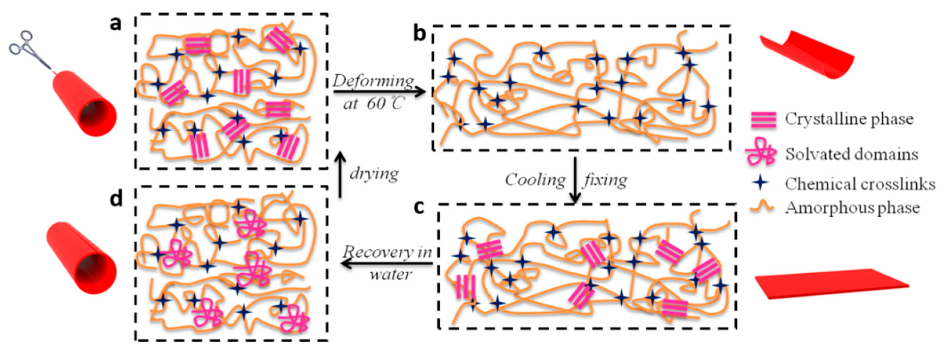 Polymers 11 01030 g008 550