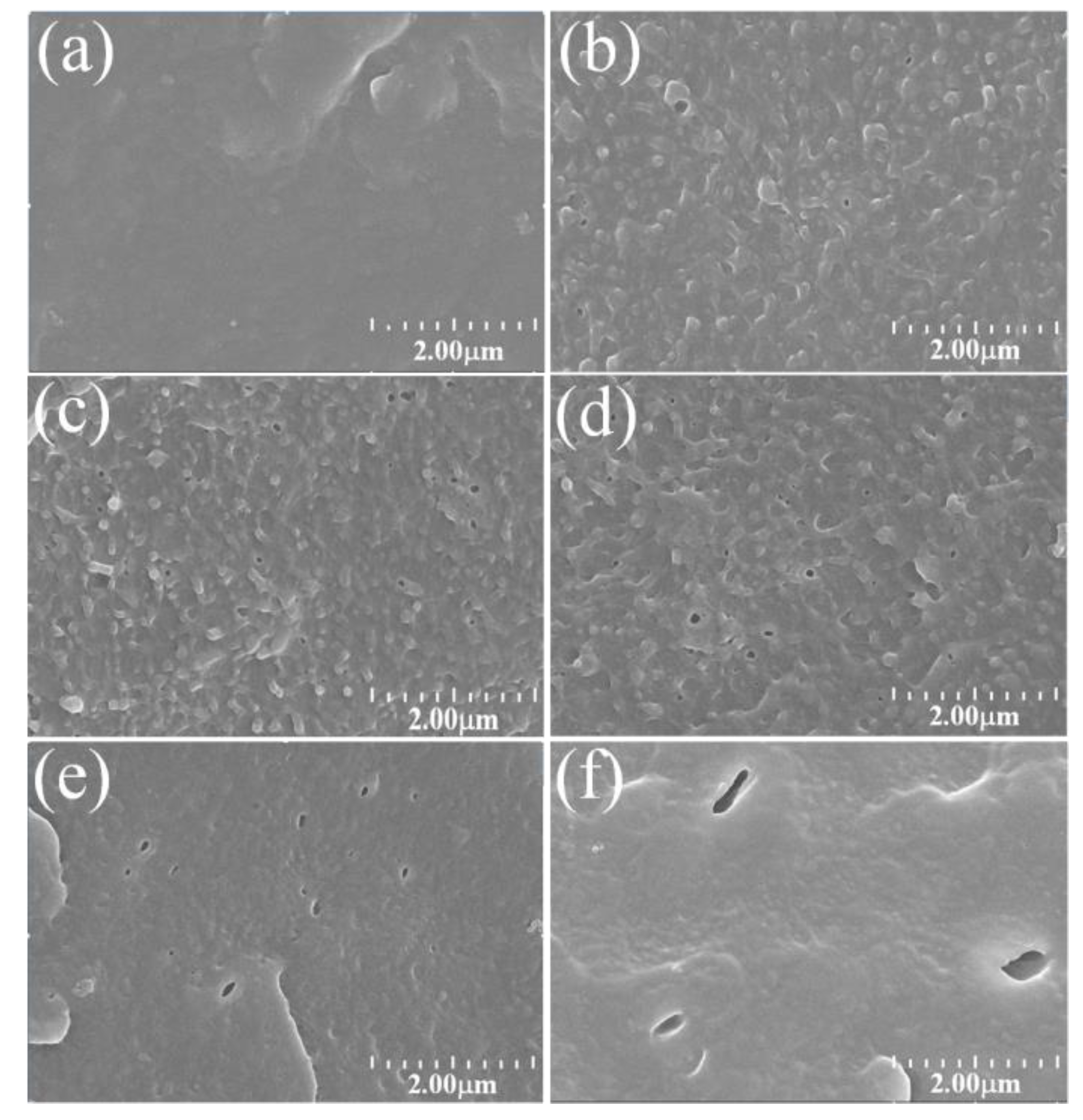 Polymers 11 01033 g003 Polymers 11 01033 g003