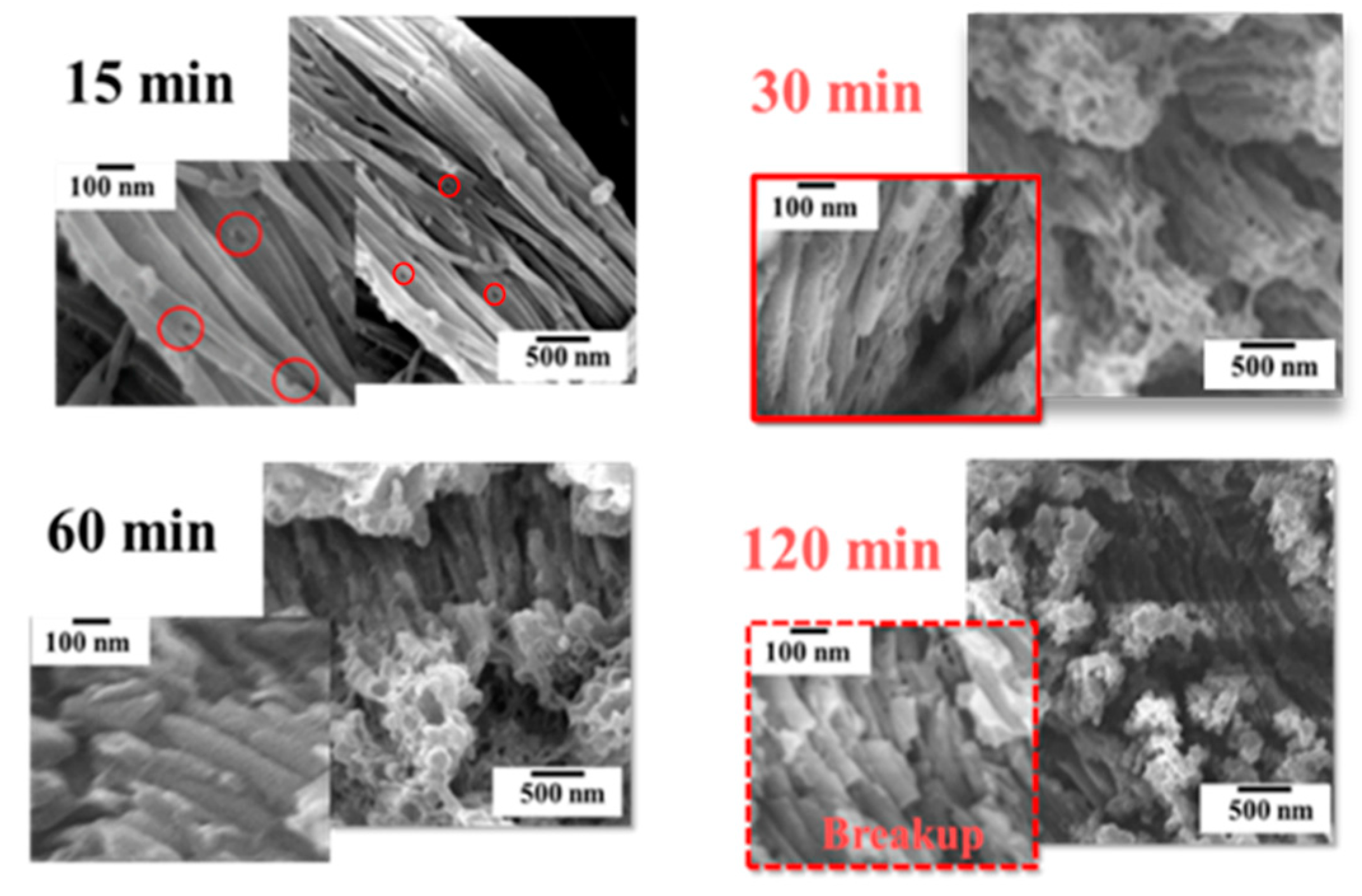 Polymers 11 01039 g009 Polymers 11 01039 g009