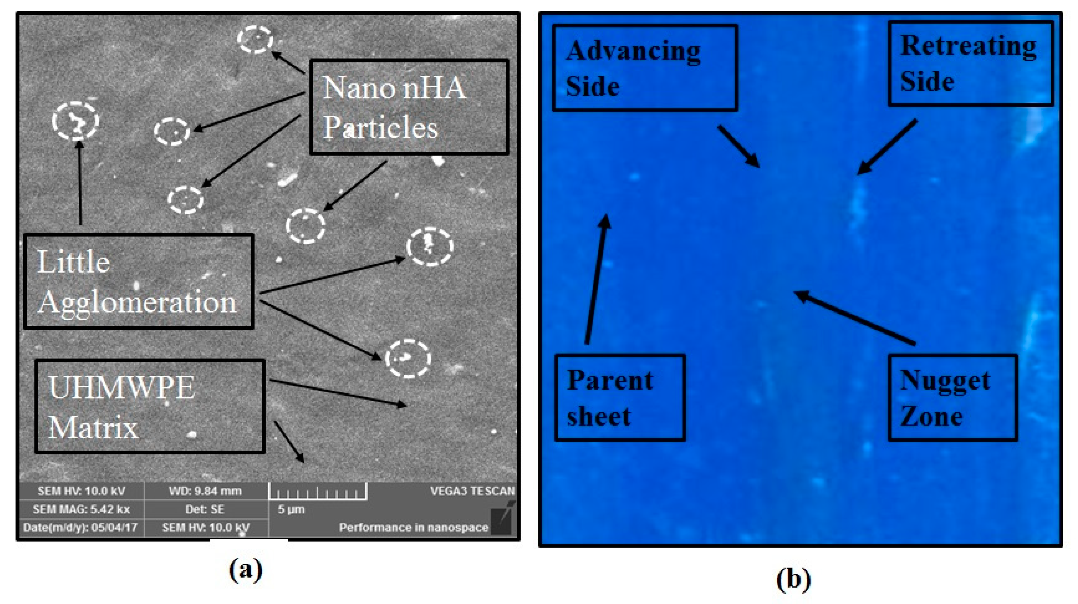 Polymers 11 01041 g007