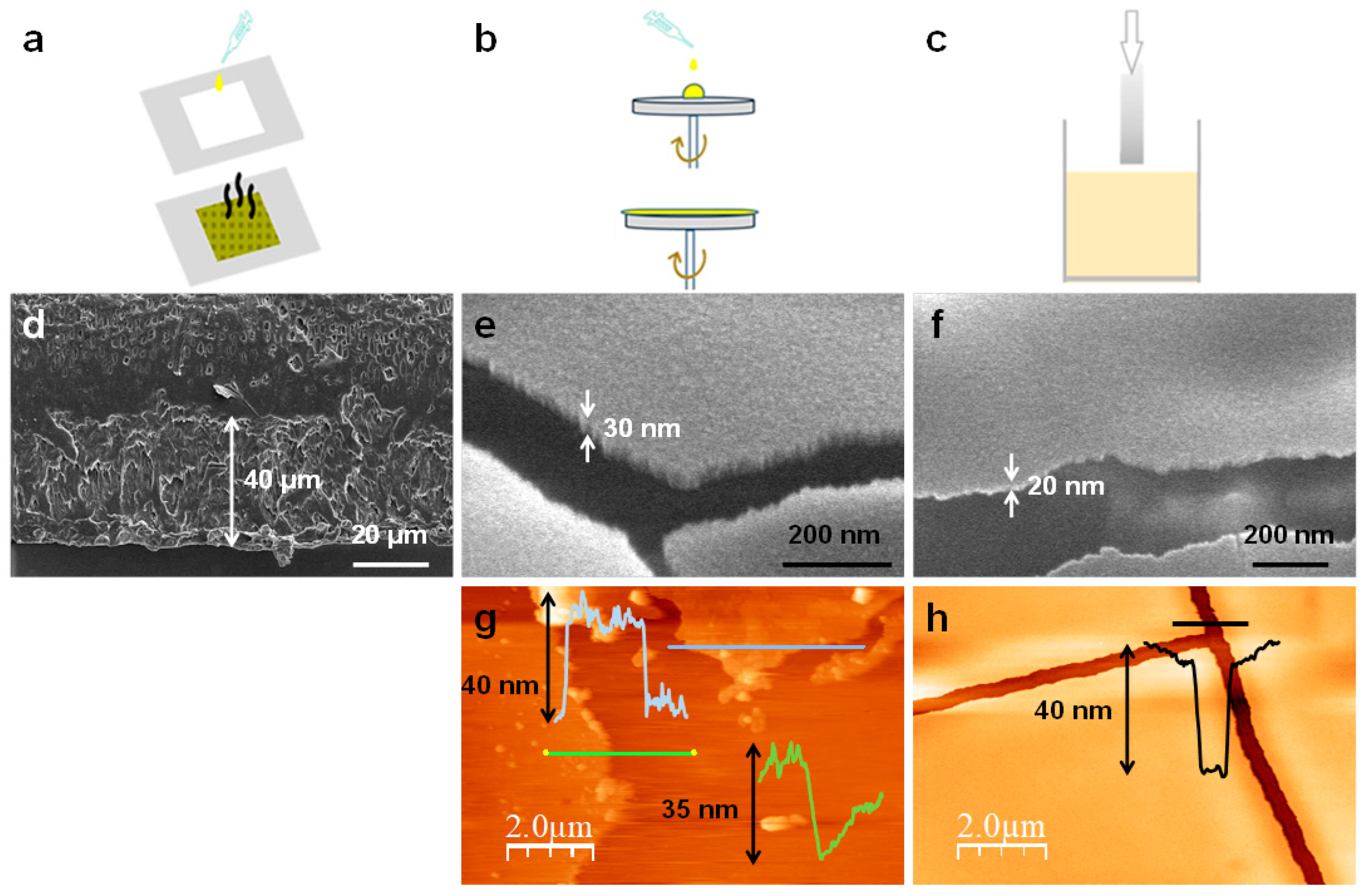 Polymers 11 01047 g005