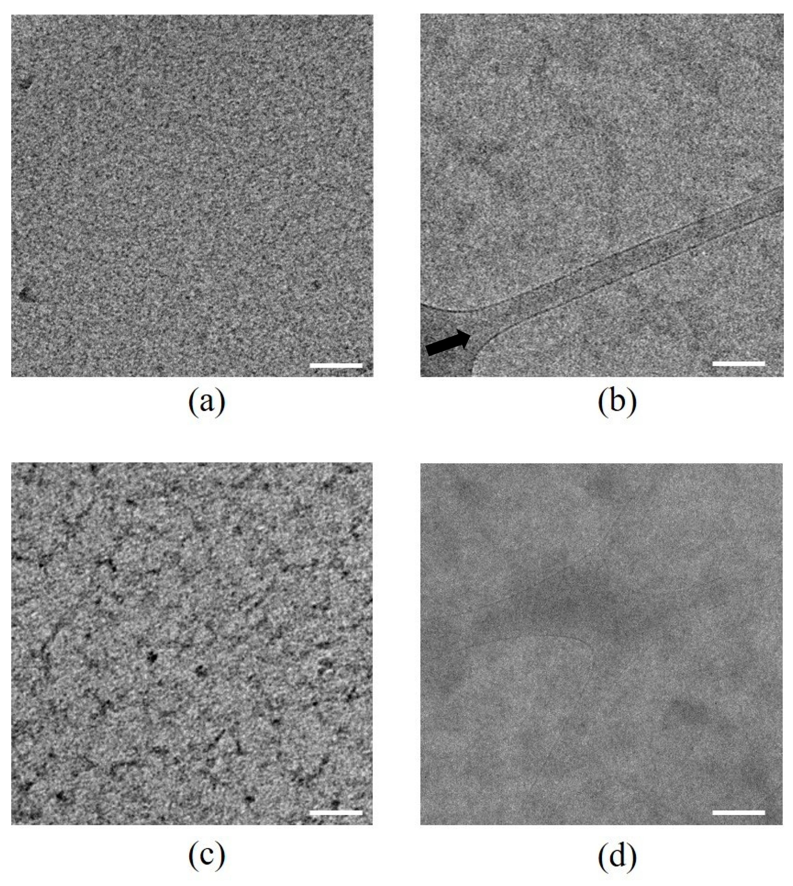 Polymers 11 01053 g004 Polymers 11 01053 g004