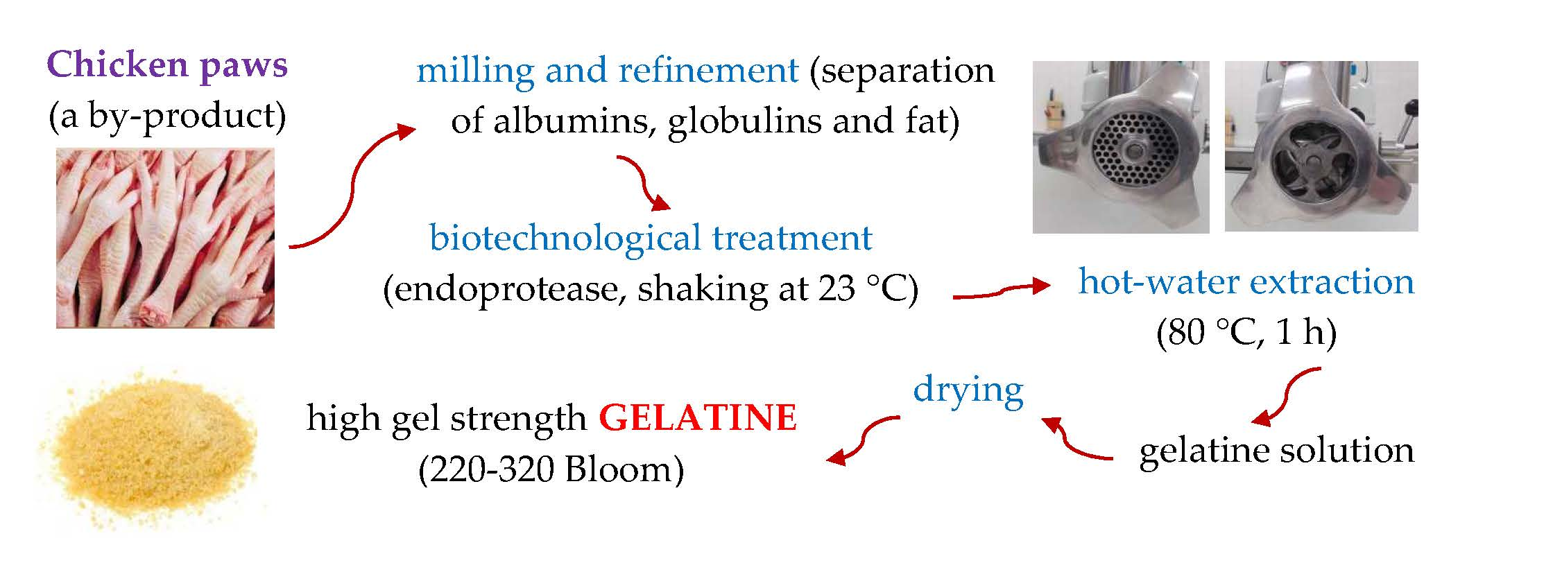 Gelatin Bloom Conversion Chart