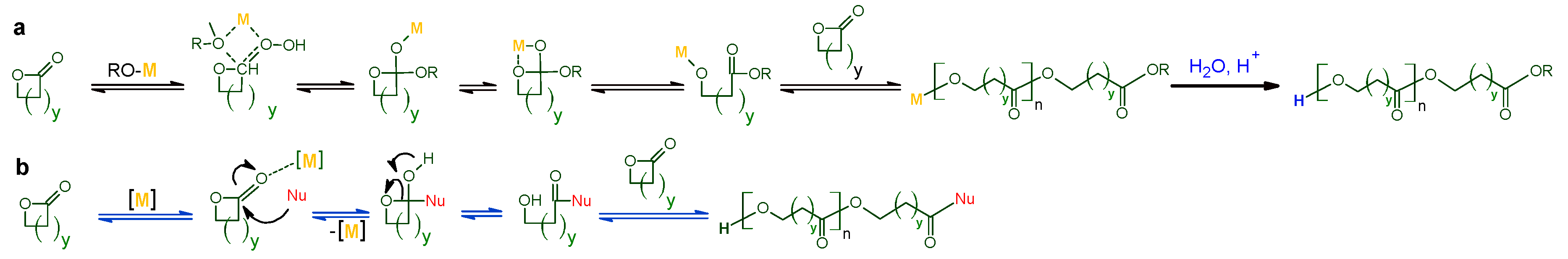 Polymers 11 01061 g005 Polymers 11 01061 g005