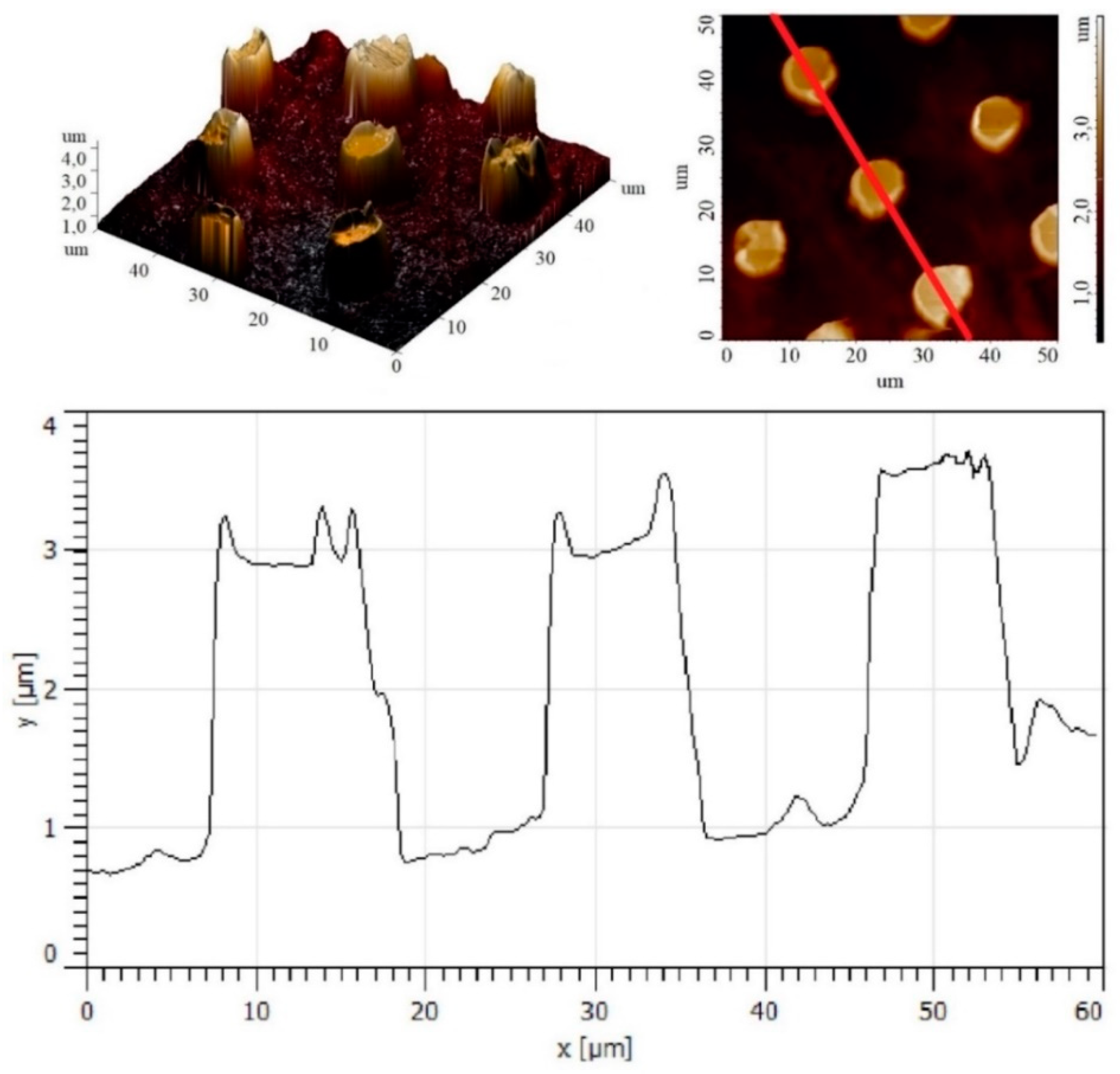 Polymers 11 01065 g004