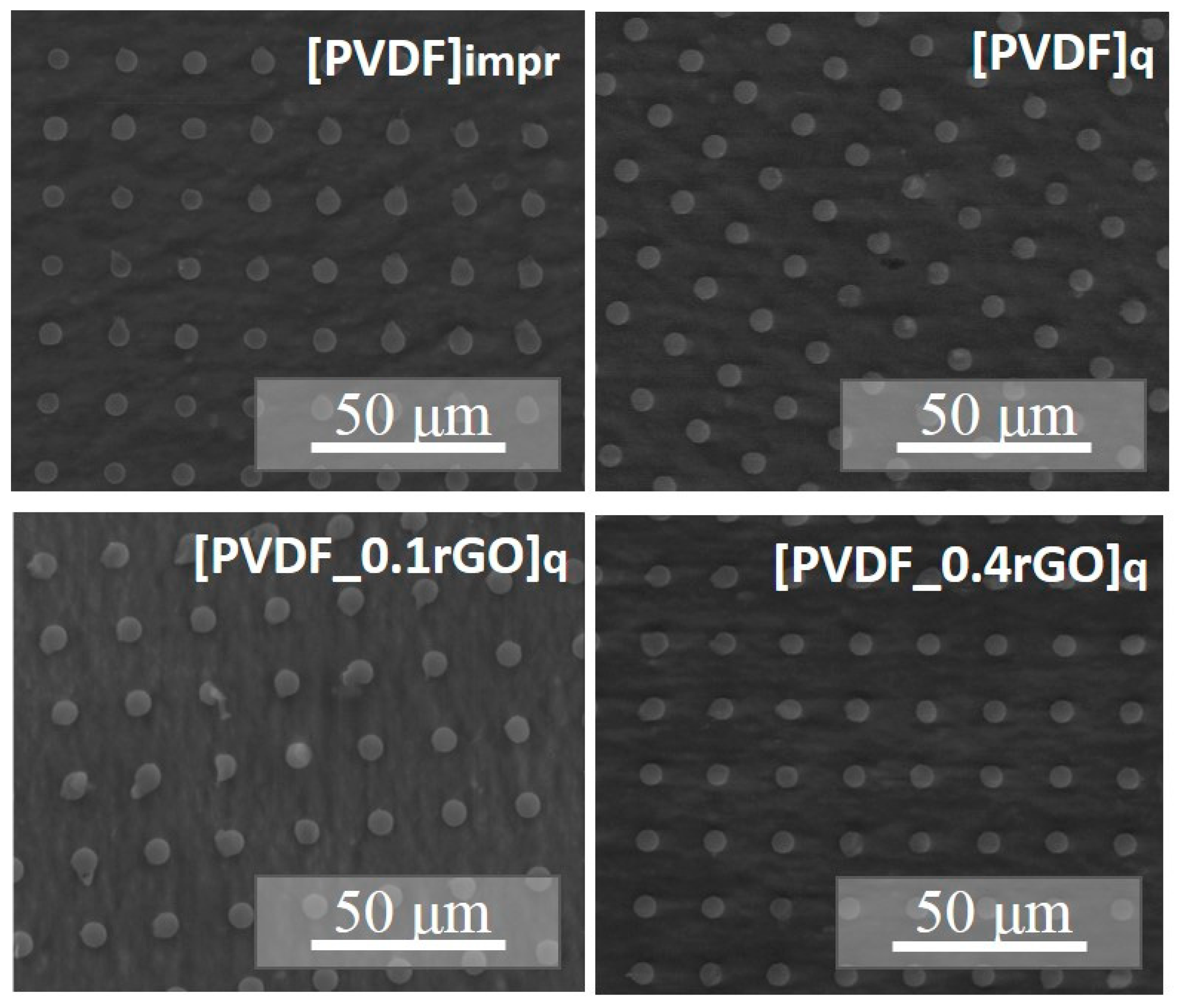 Polymers 11 01065 g005