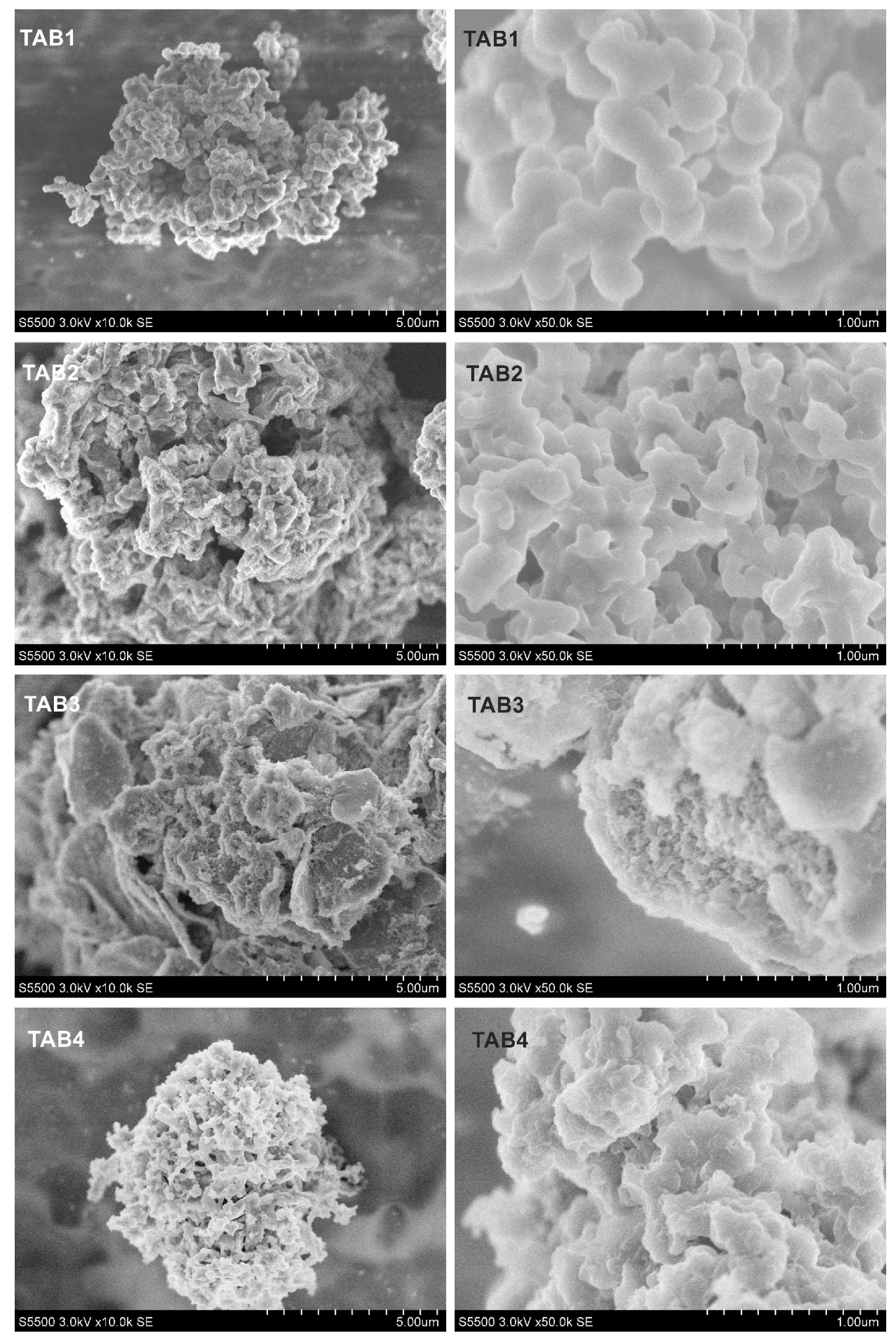 Polymers 11 01070 g001 Polymers 11 01070 g001