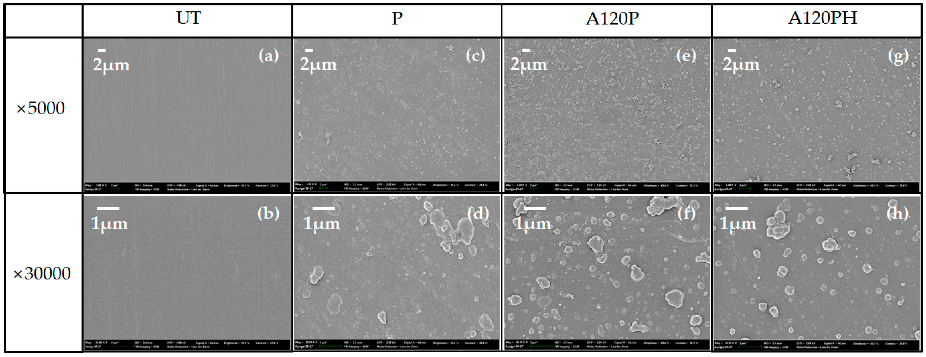 Polymers 11 01071 g003