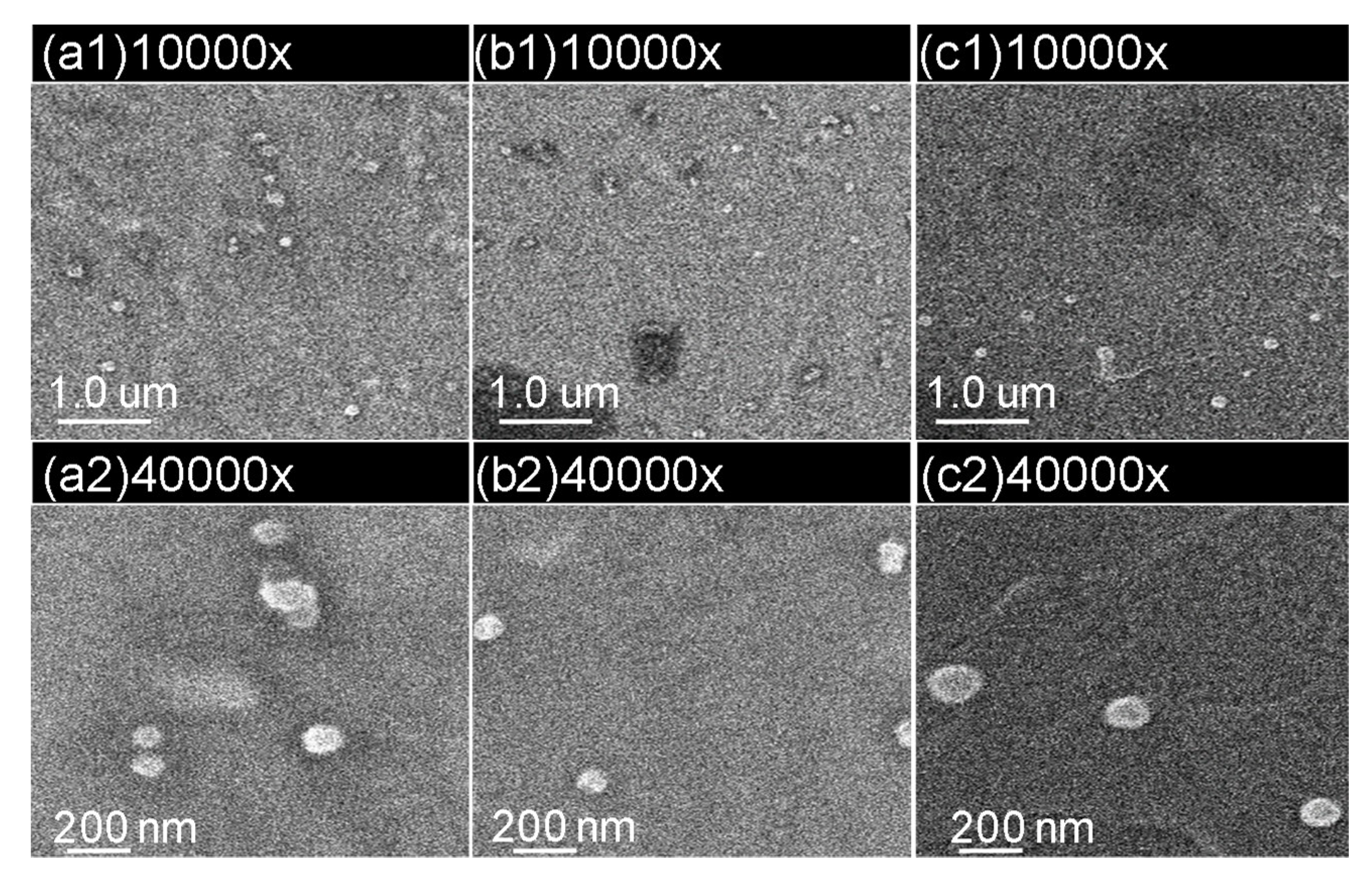 Polymers 11 01079 g005 550
