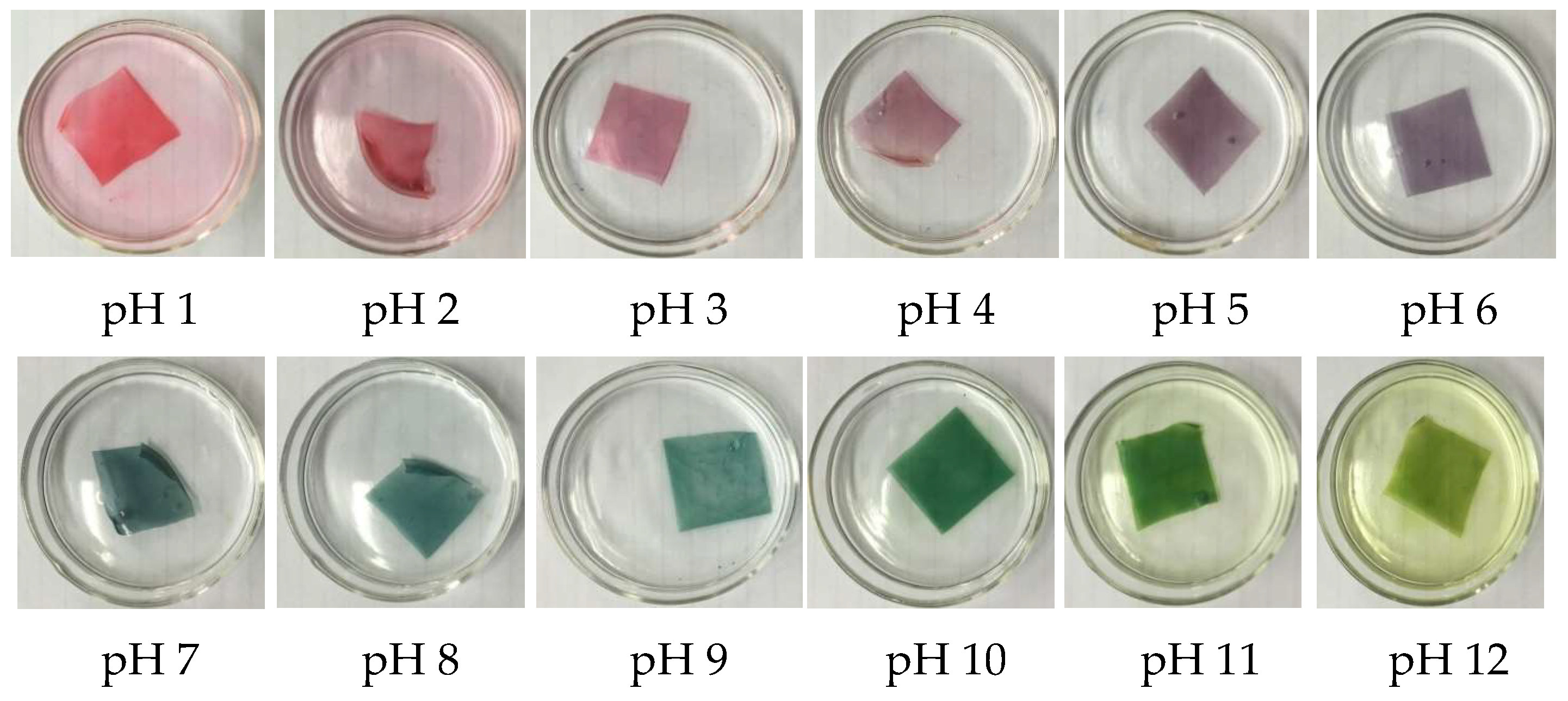 Polymers 11 01088 g003