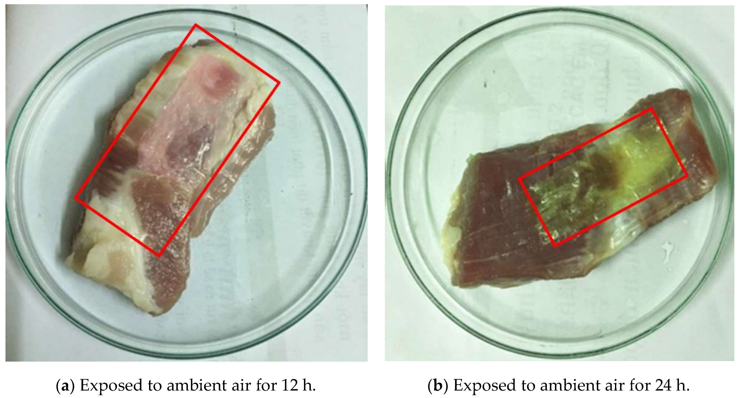 Polymers 11 01088 g009