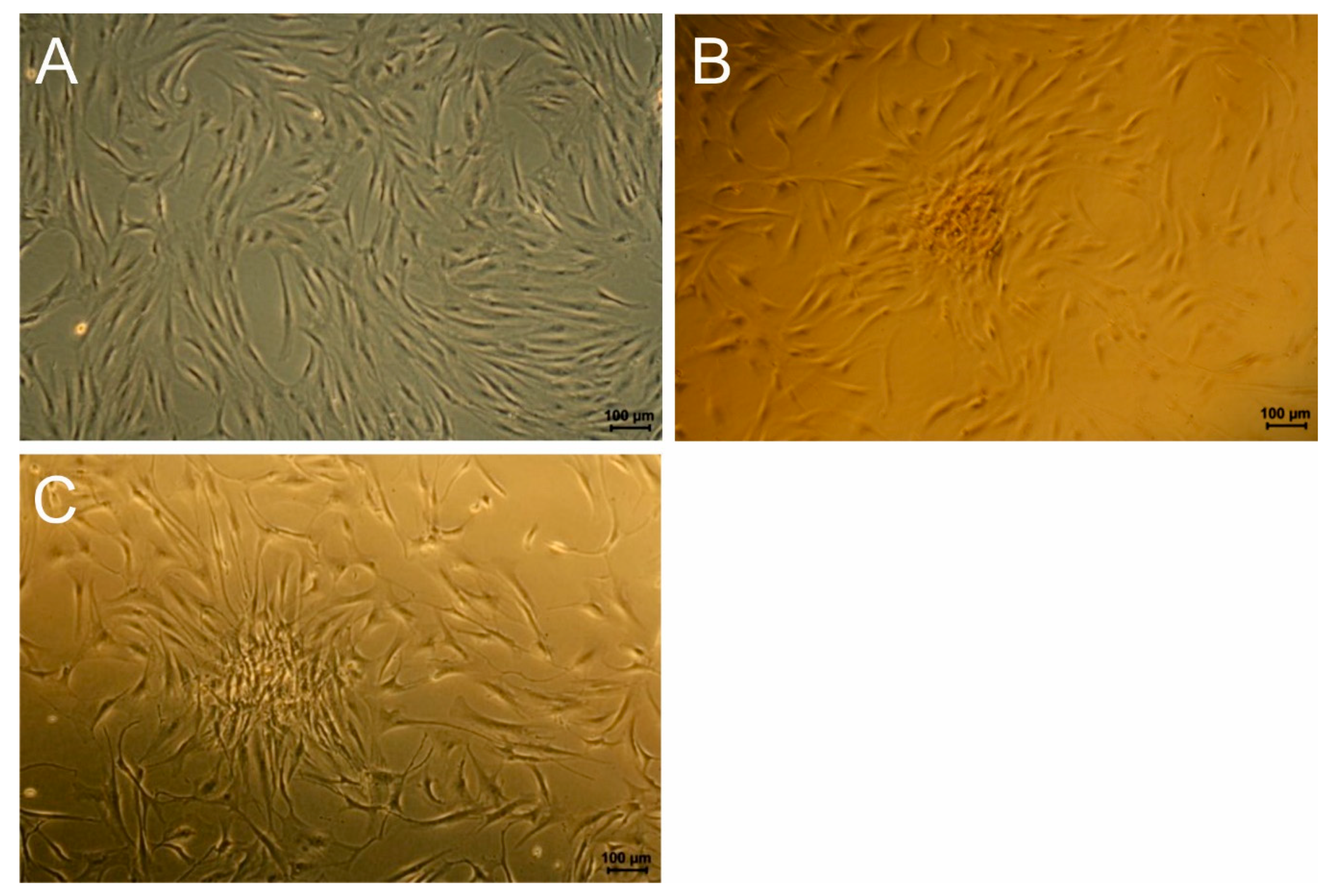 Polymers 11 01090 g006 Polymers 11 01090 g006