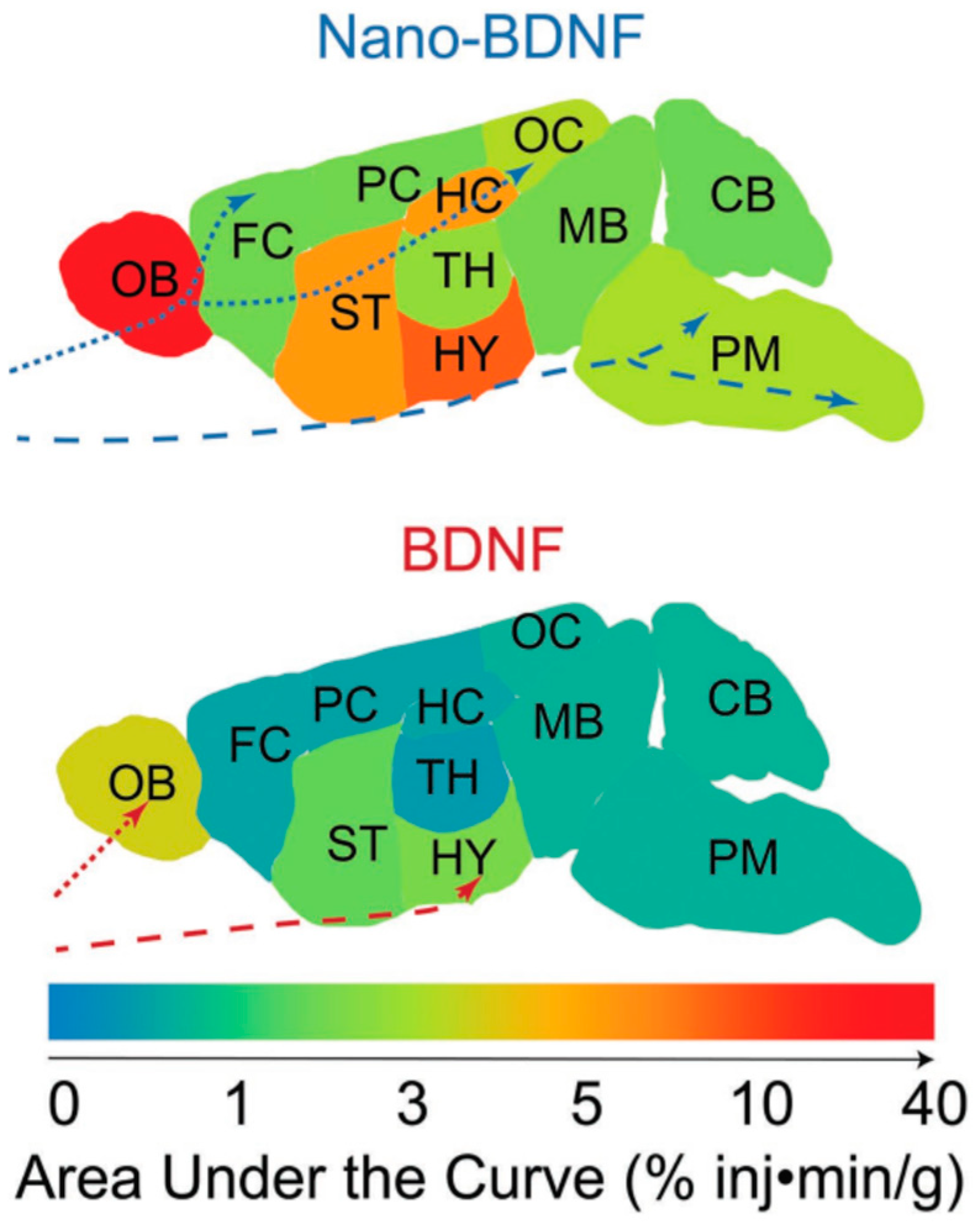 Polymers 11 01097 g011 Polymers 11 01097 g011