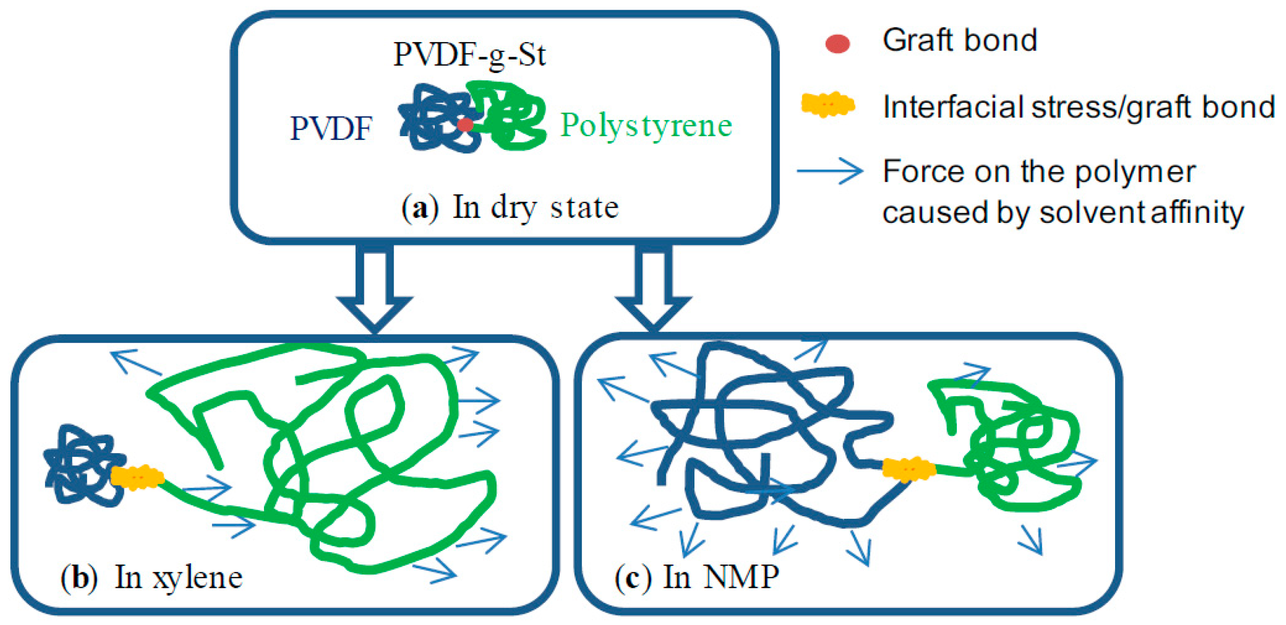 Polymers 11 01098 g011