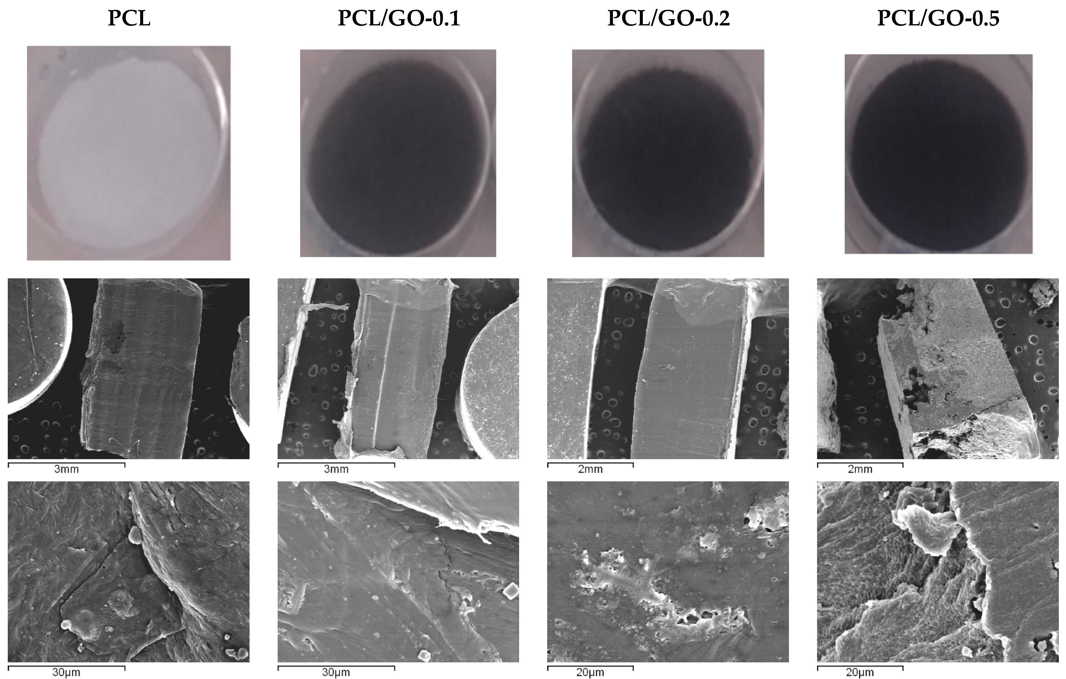 Polymers 11 01099 g001