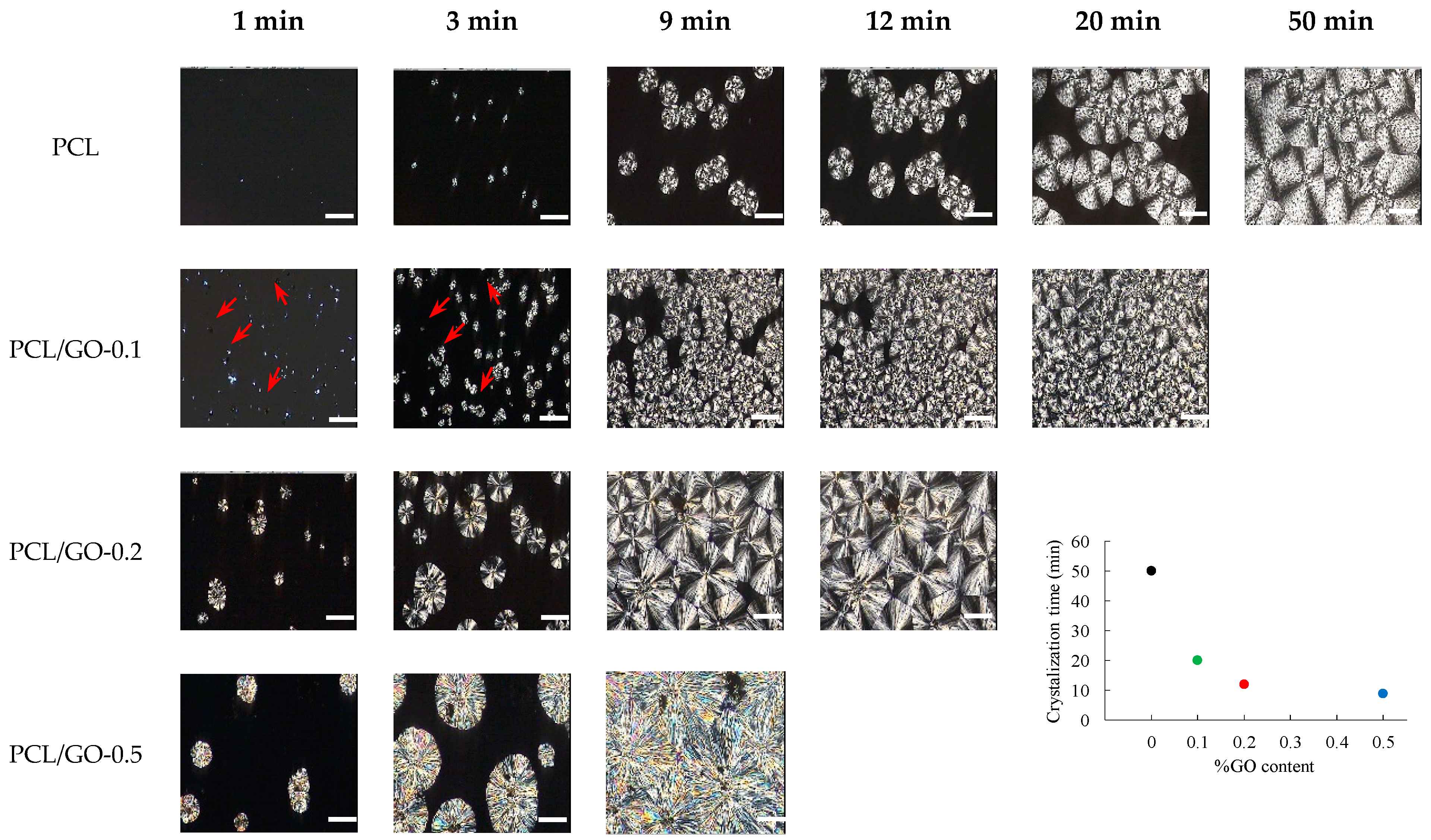 Polymers 11 01099 g003