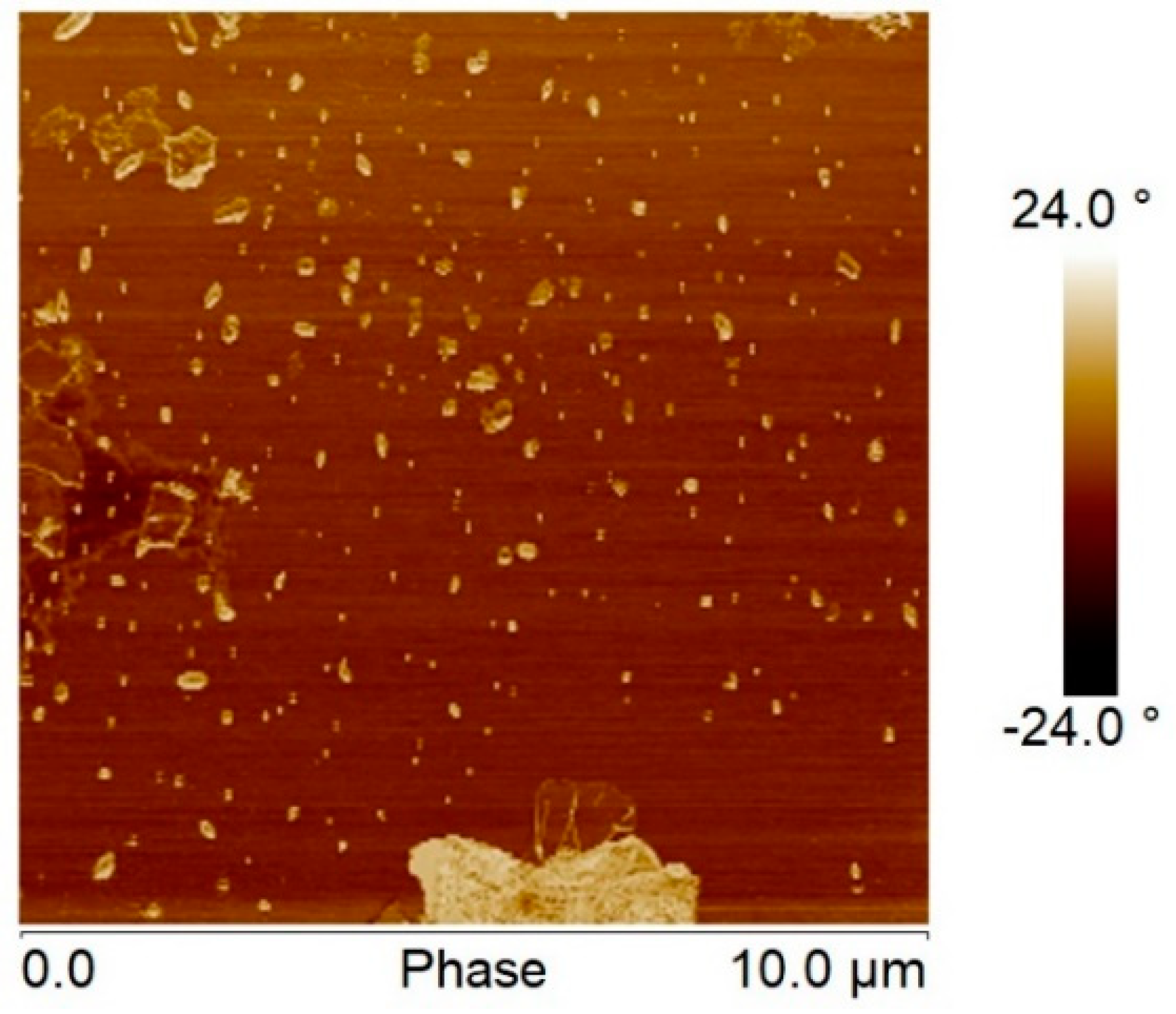 Polymers 11 01099 g008